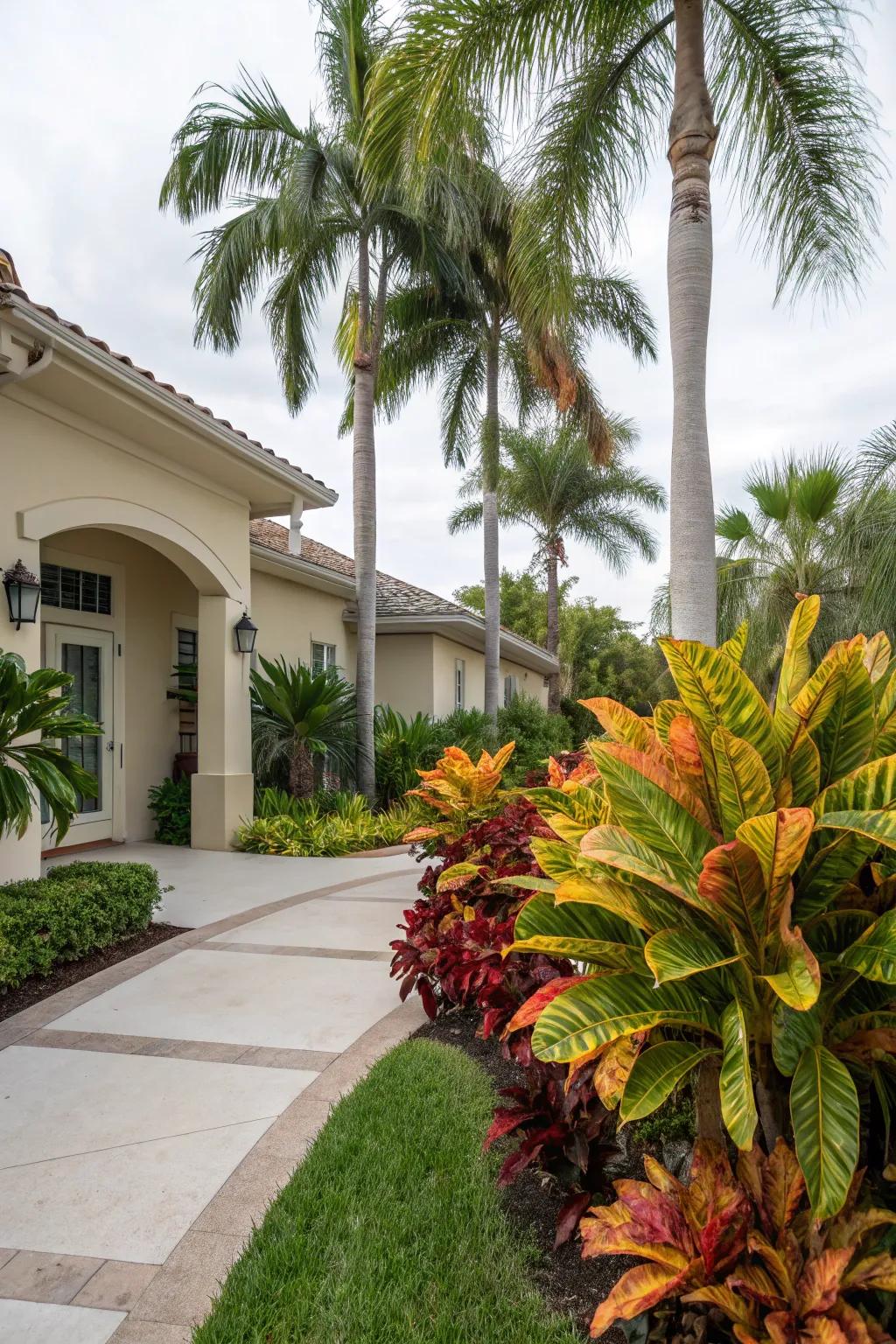 Achieve a paradise-like feel with the tropical pairing of crotons and palms.