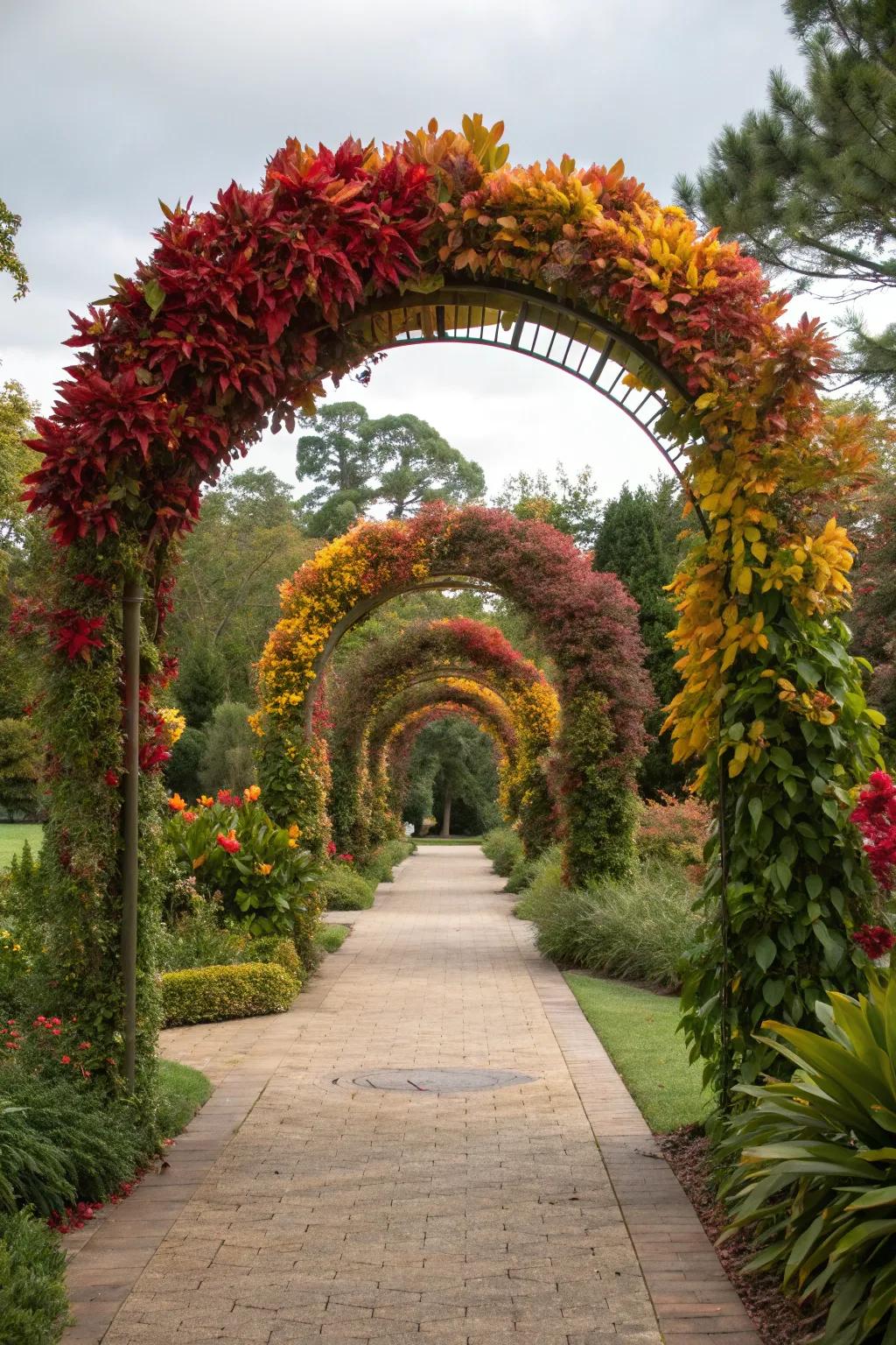 Enchant visitors with a magical croton archway at your garden entrance.