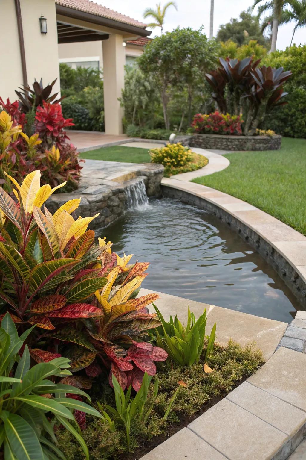 Enhance tranquility with a water feature surrounded by vibrant crotons.