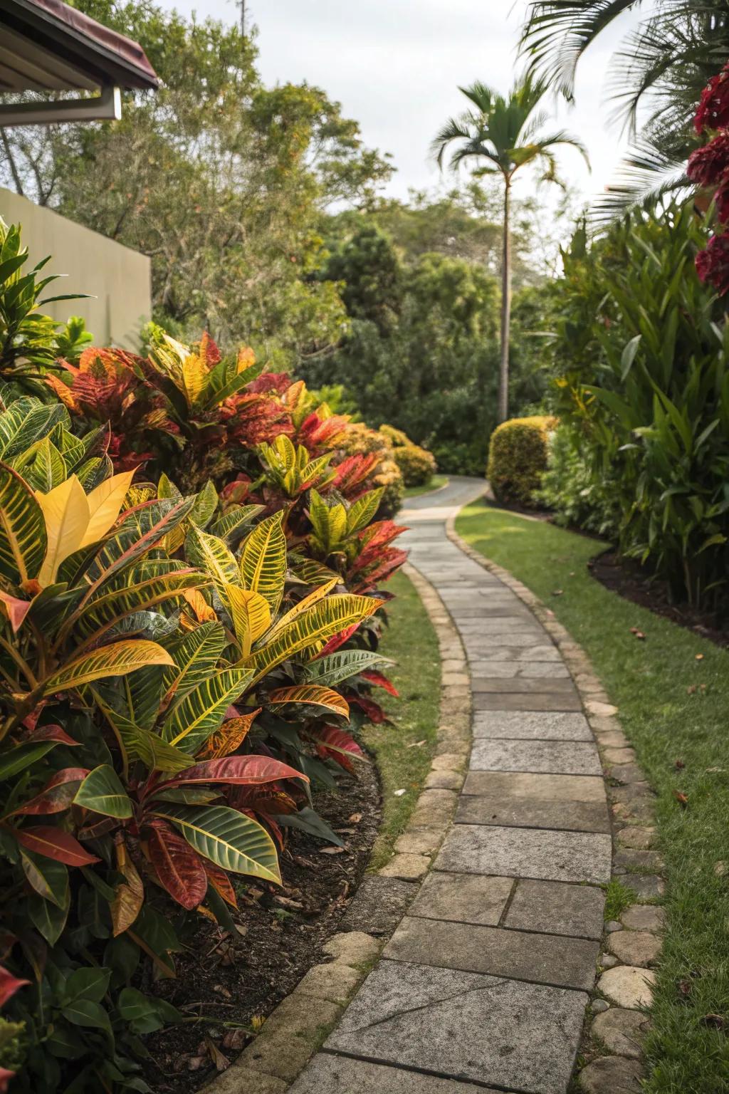 Lead guests on a colorful journey with croton-lined pathways.