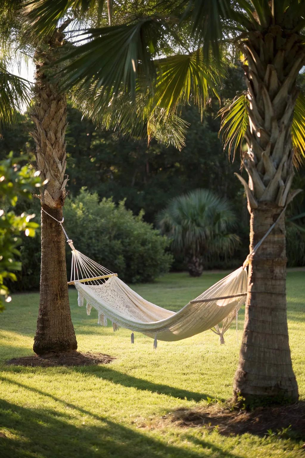 Find tranquility and relaxation with a hammock nestled between Sylvester palms.