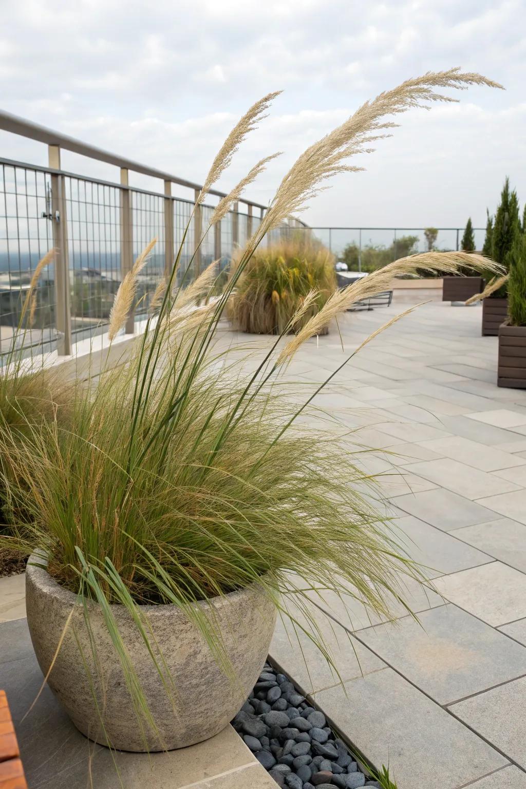 Ornamental grasses adding texture and movement in a shallow pot.