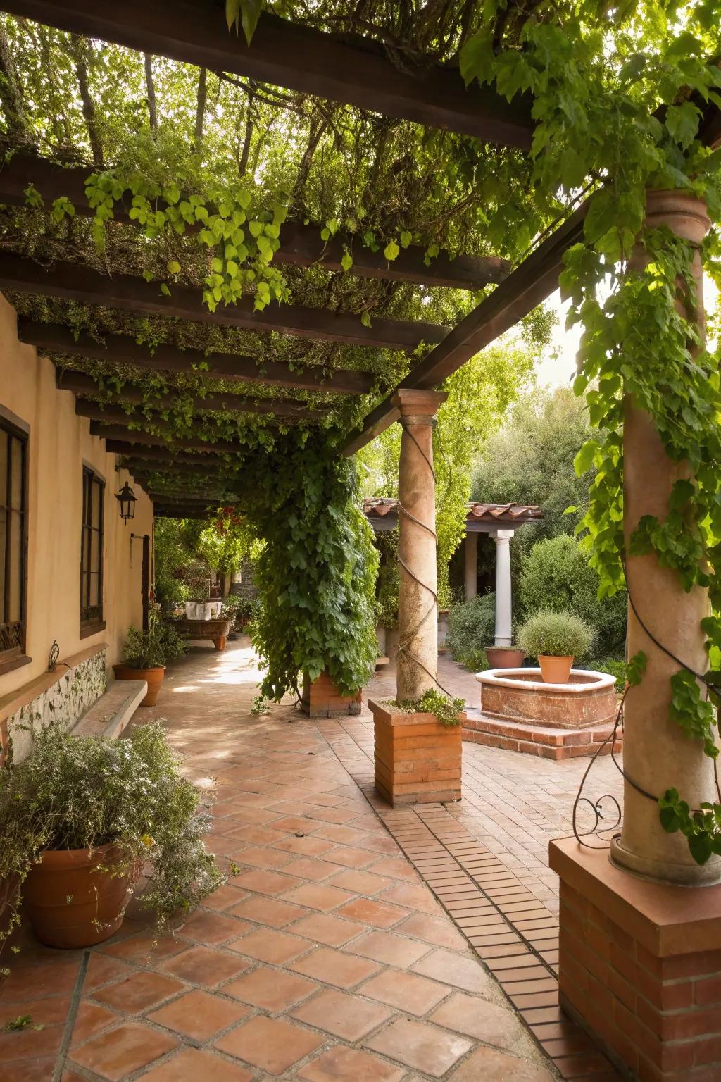 A pergola provides a shaded retreat perfect for relaxation.