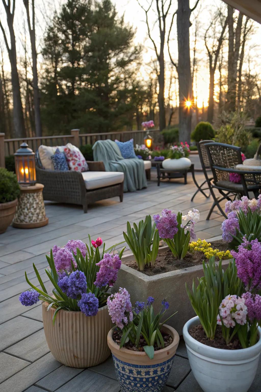 A cozy patio adorned with containers filled with blooming hyacinths, adding a splash of color to the space.