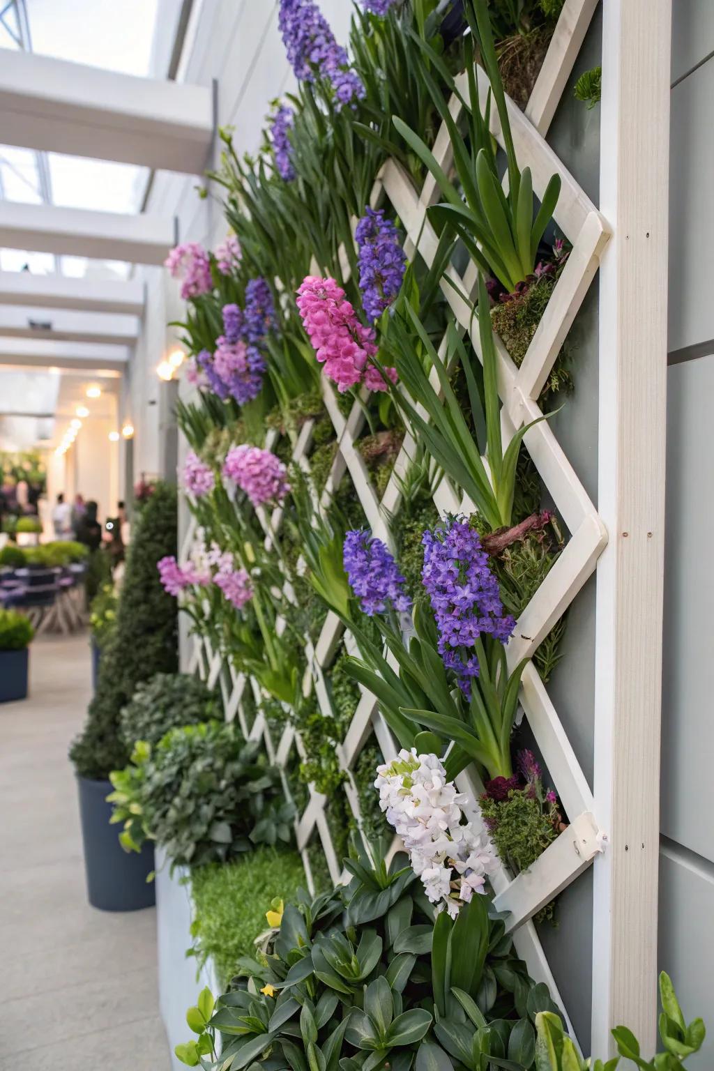A vertical garden featuring hyacinths on trellises, offering a creative and space-saving gardening solution.
