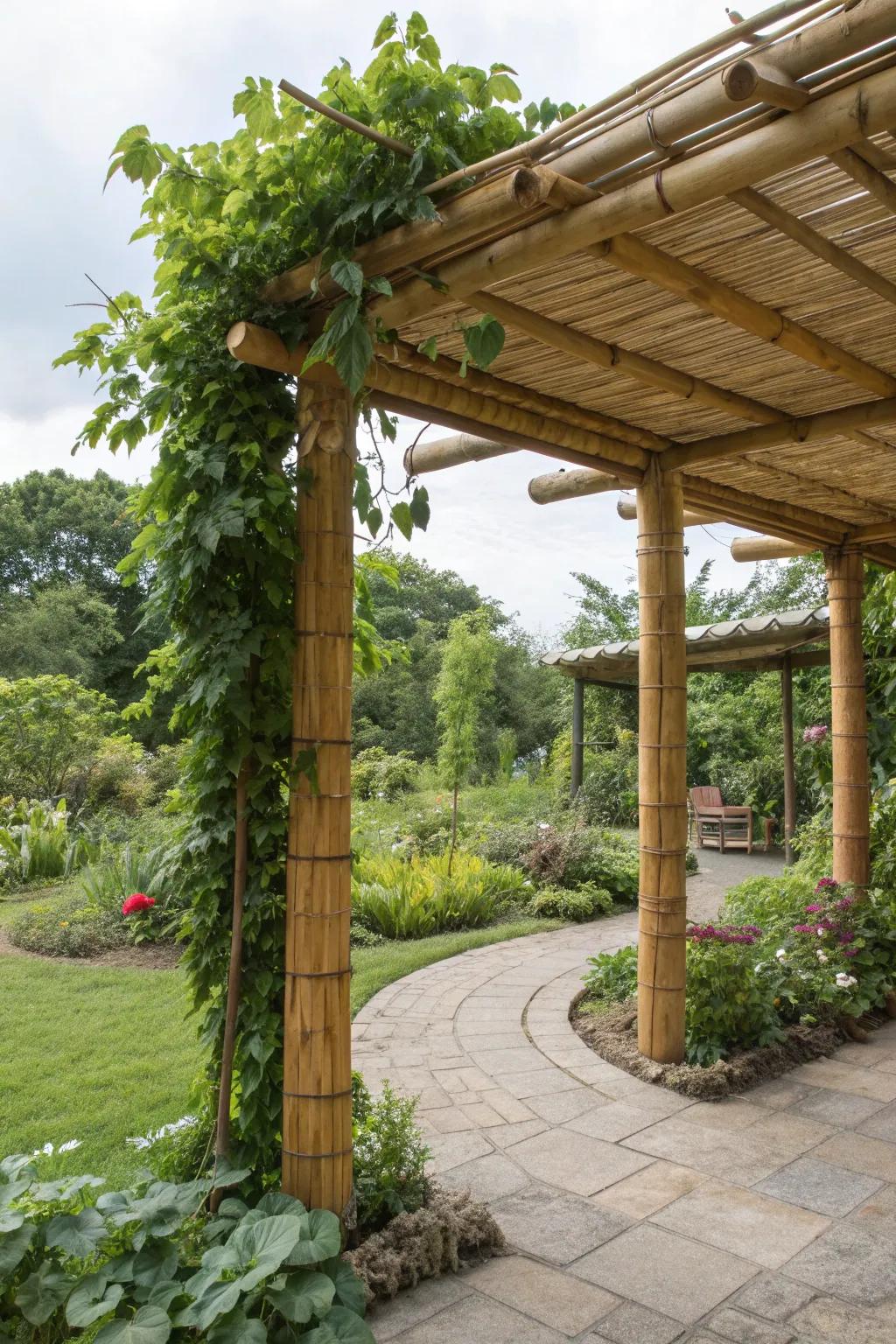 Choose eco-friendly materials for a sustainable pergola.