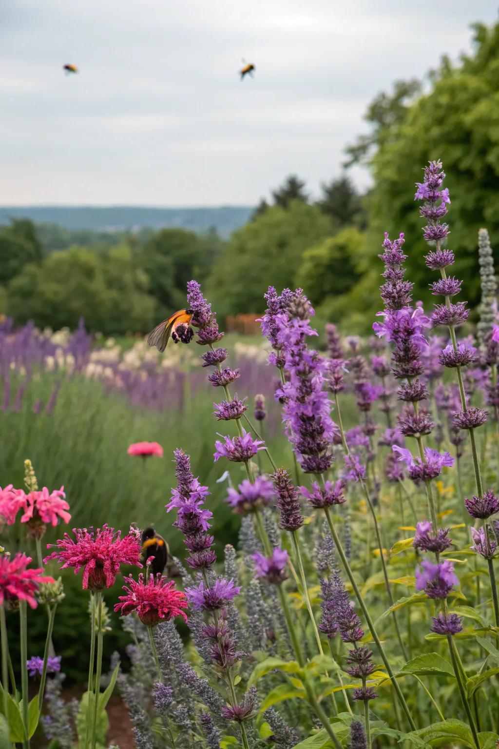 A vibrant garden attracting pollinators with lavender and bee balm.