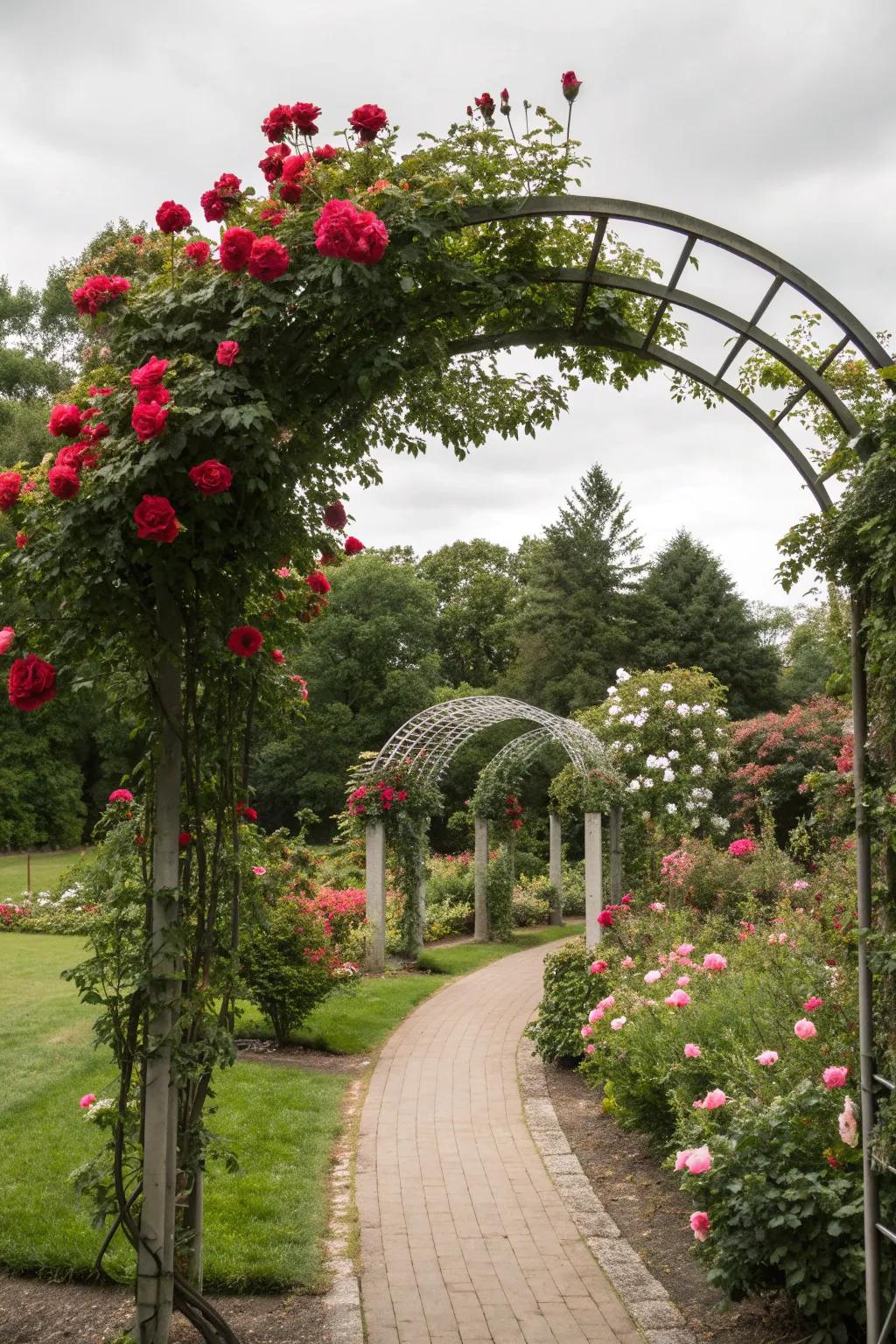 Rose arches that welcome you with a burst of color and fragrance.
