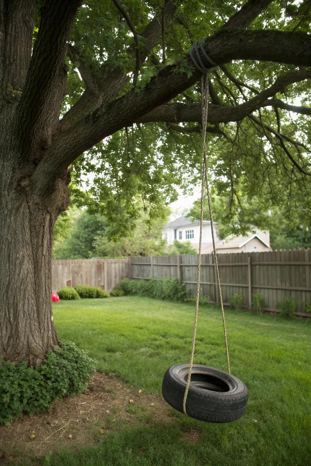 Classic tire swing for endless garden fun.