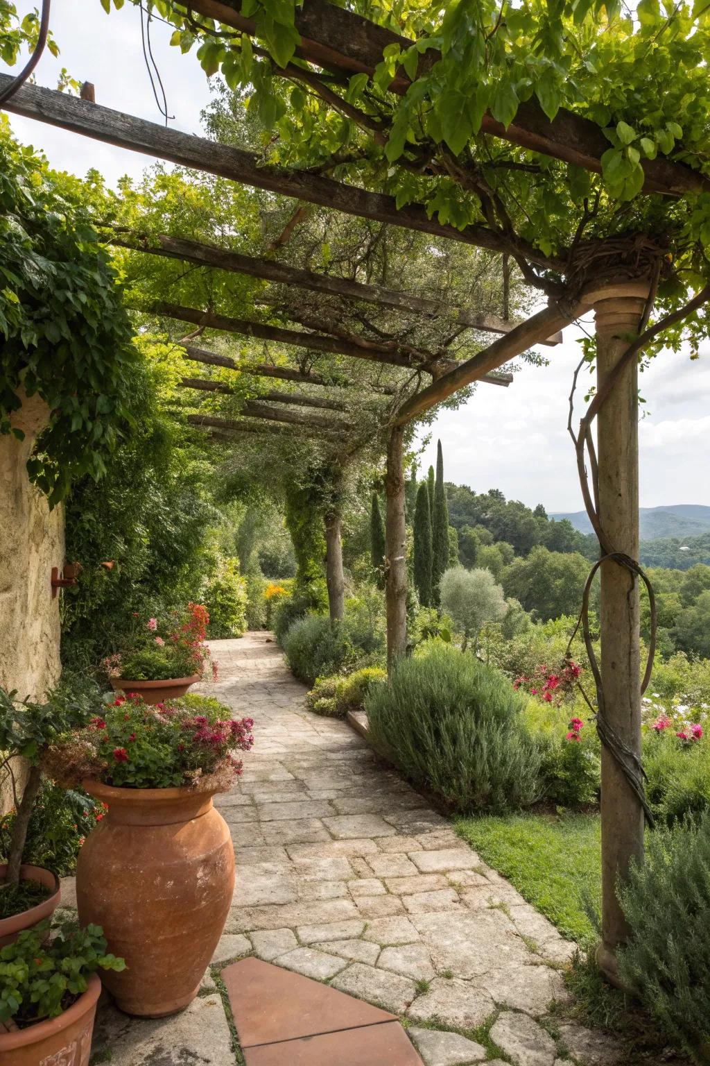 A shaded pergola offers a cool escape in the garden.