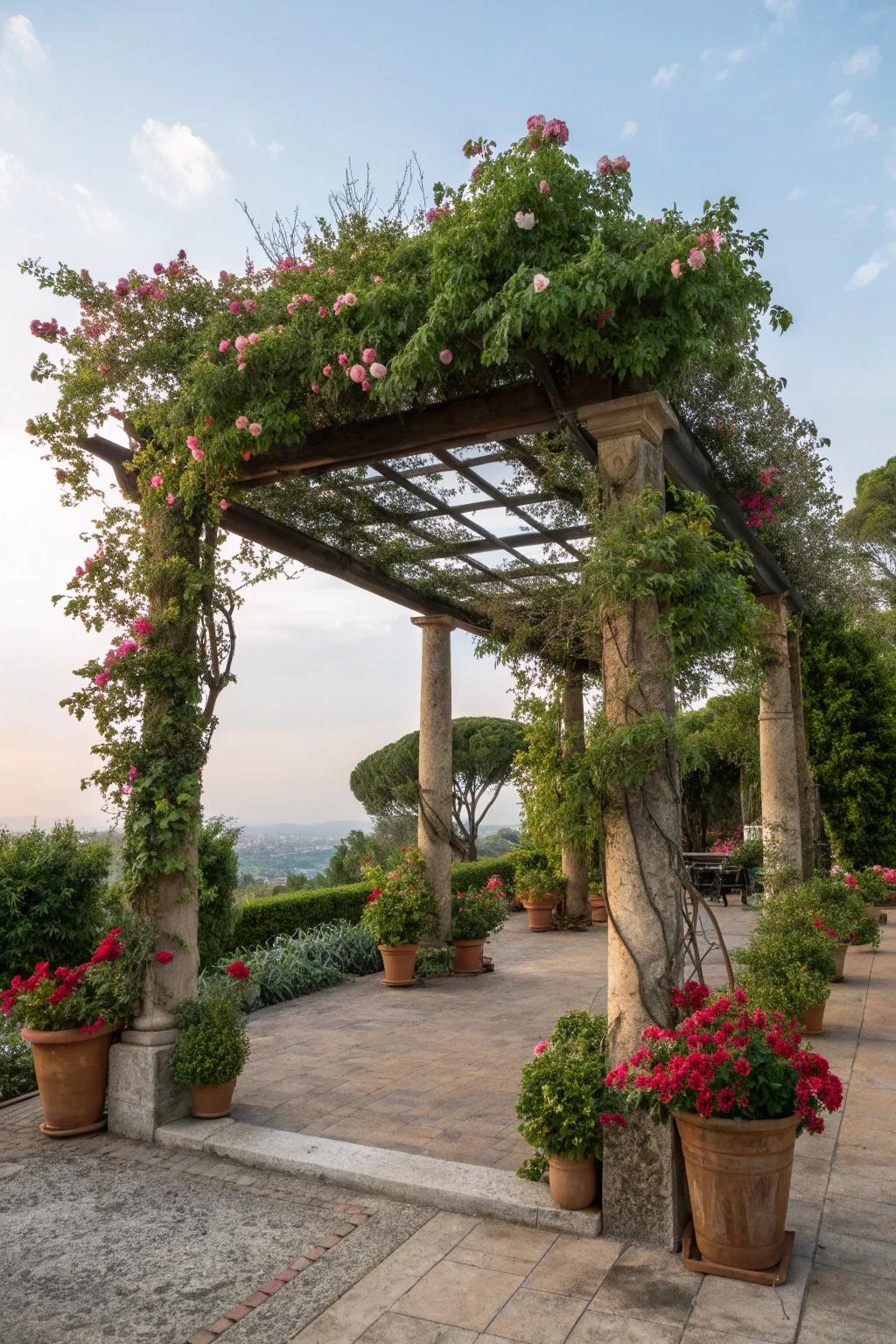 A pergola beautifully intertwined with climbing vines.