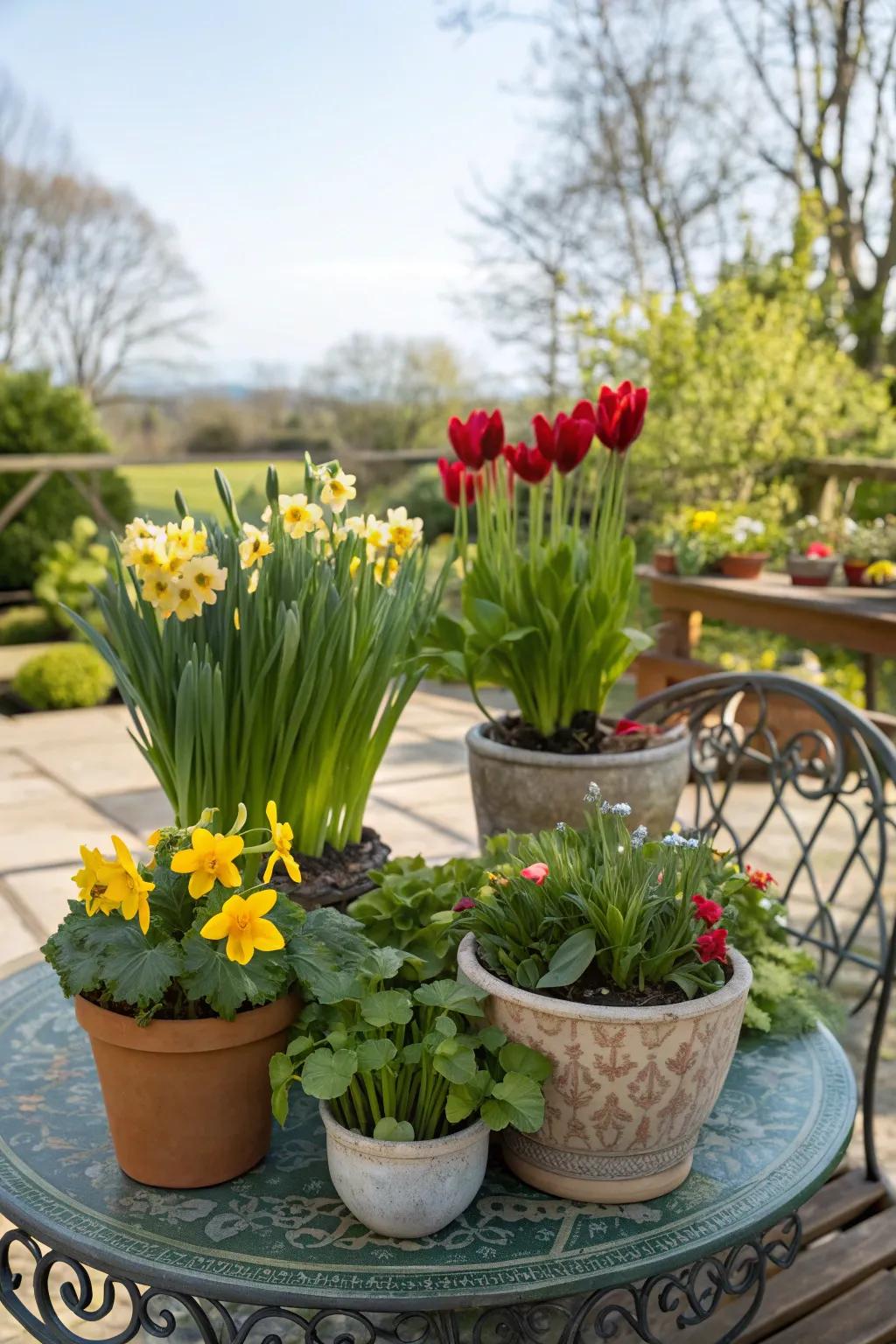 Embrace the seasons with ever-changing plant displays.