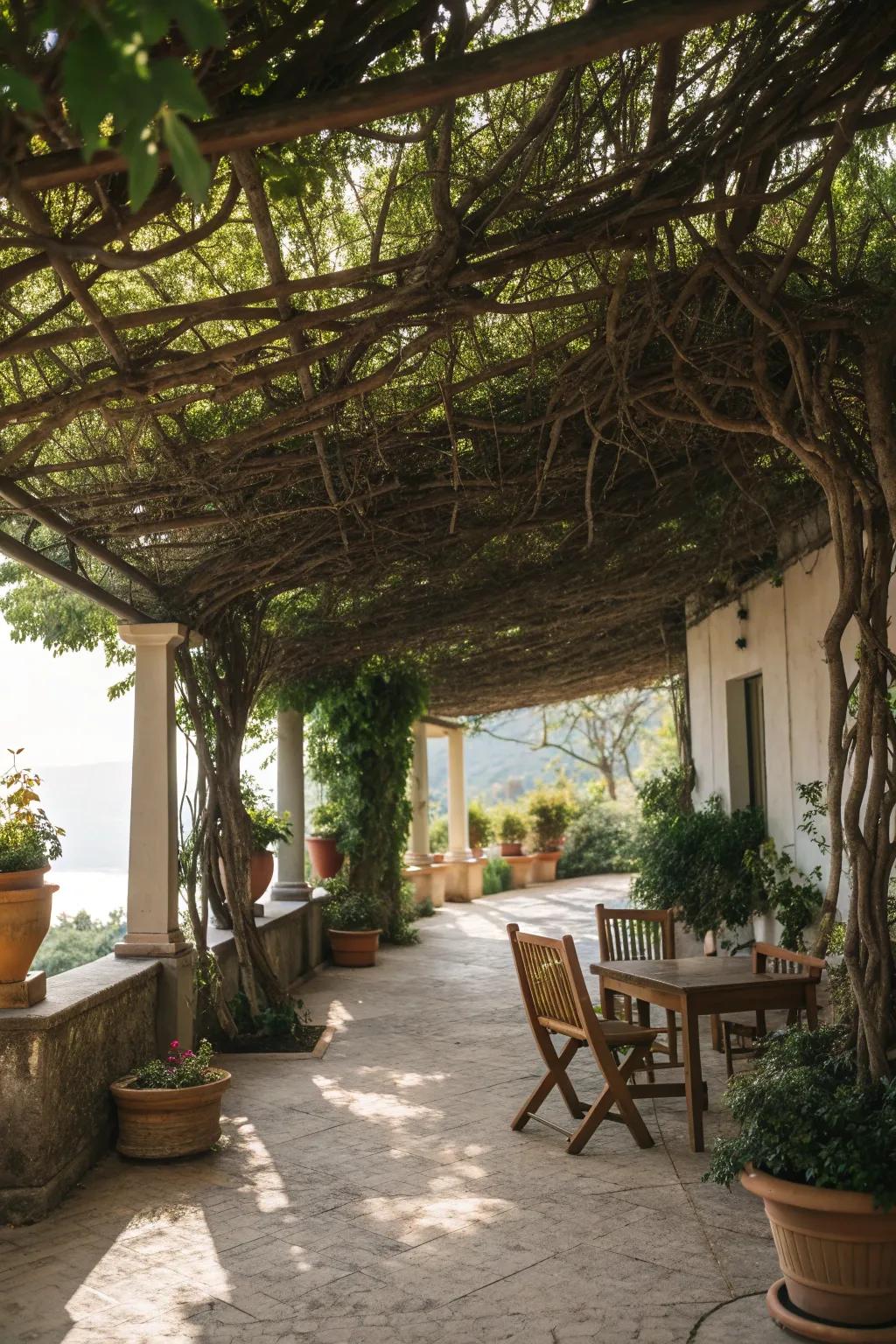Branch canopies offer a rustic, natural shade solution.