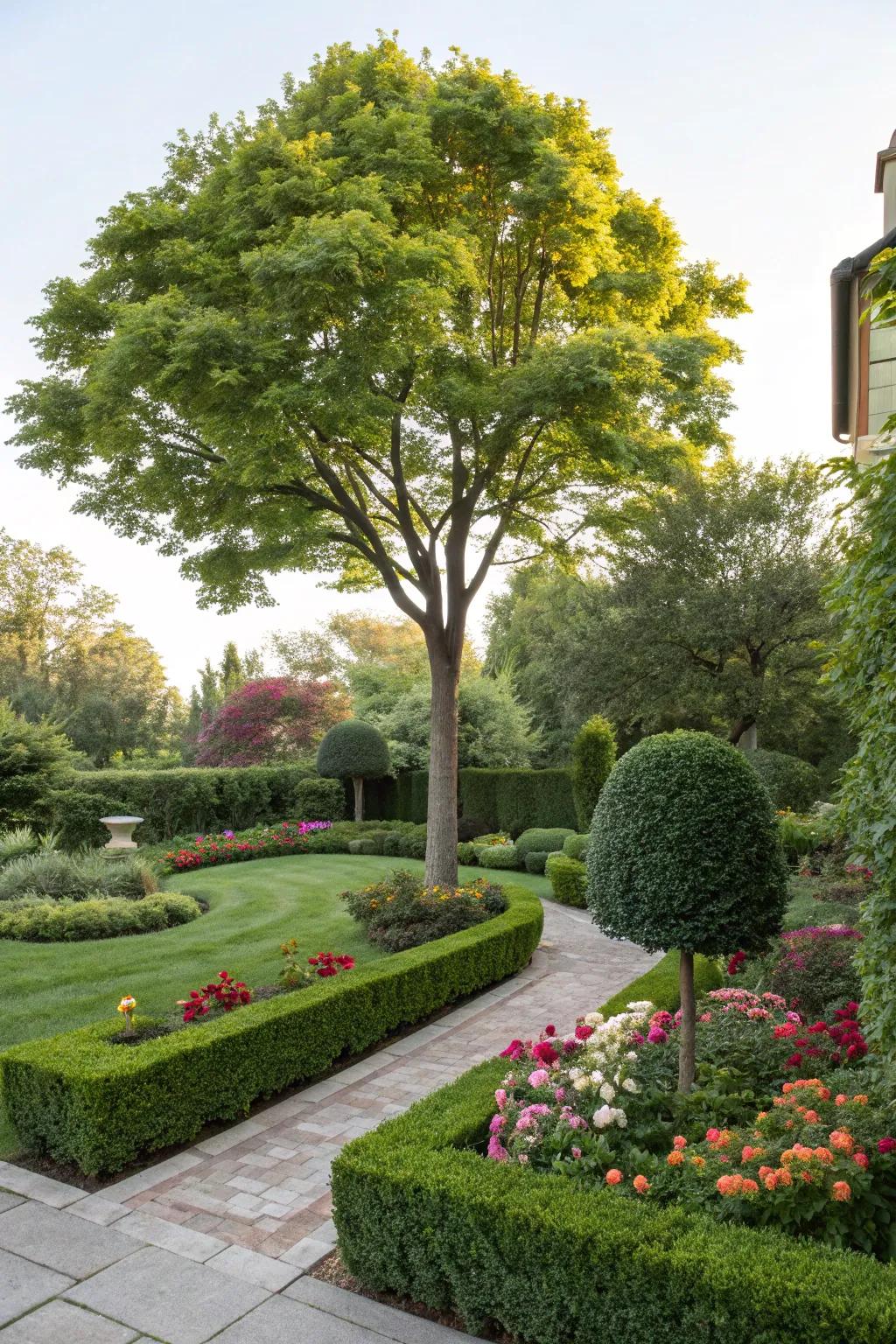 Ornamental trees add elegance and focus to your garden design.