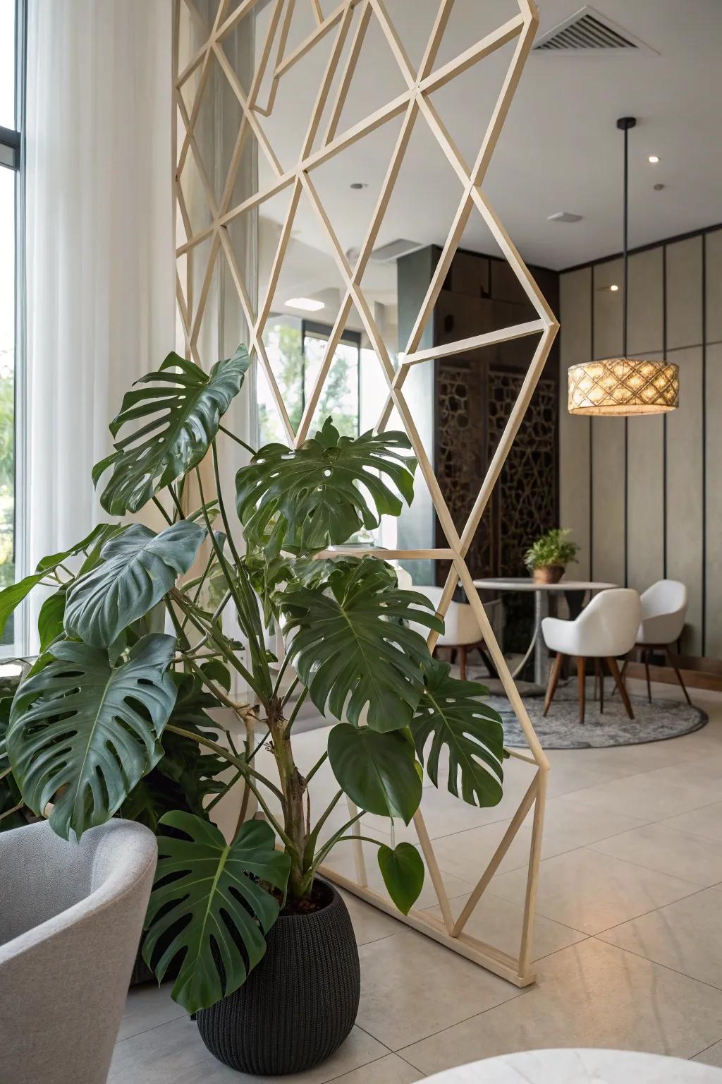 Geometric designs make bold statements in plant decor.