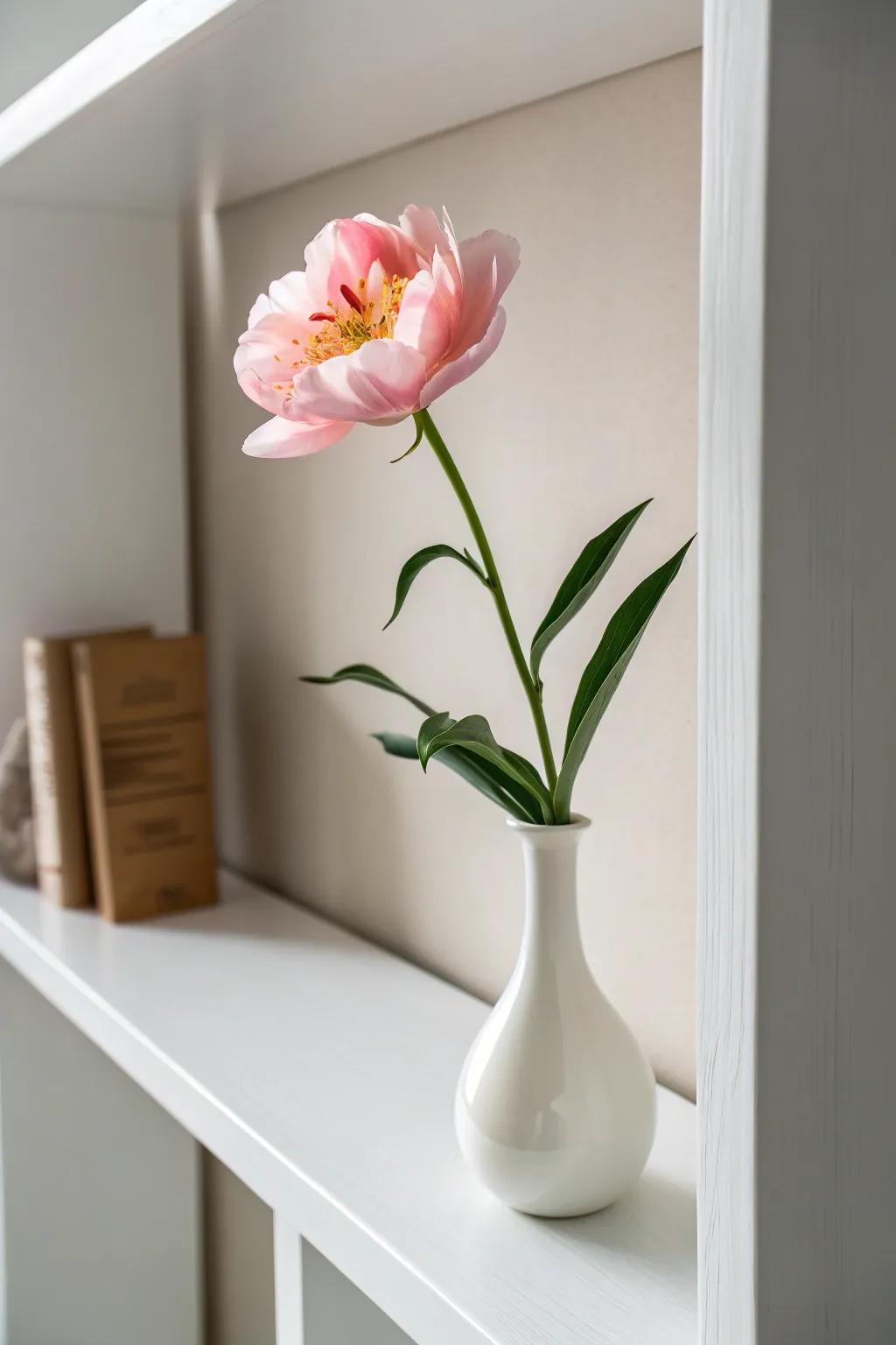 A single bloom making a bold statement in minimalist decor.
