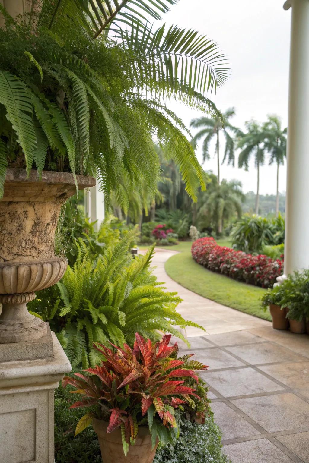 Ferns combined with tropical plants create an exotic garden vibe.