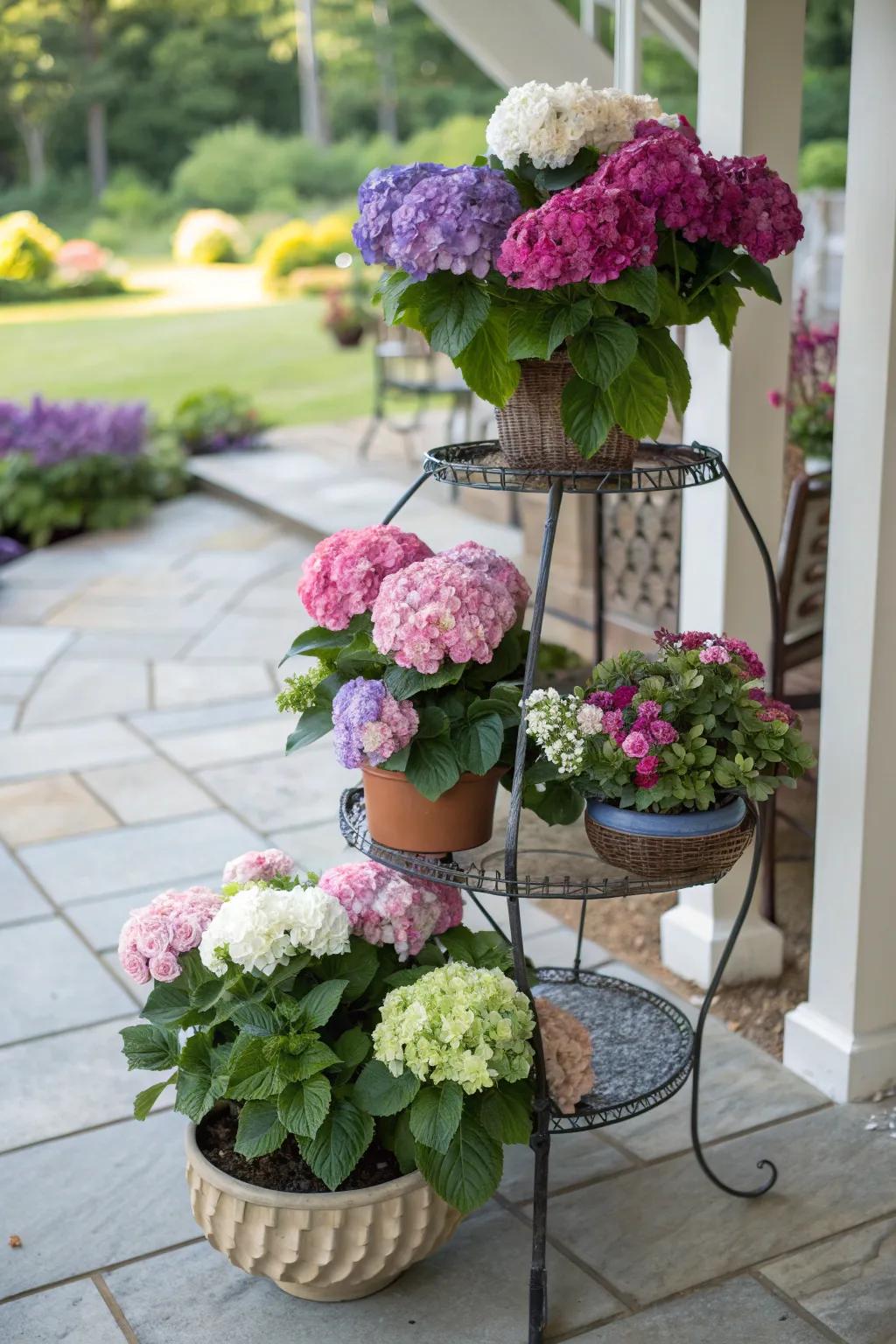 Tiered stands highlight the dynamic colors and heights of hydrangeas.