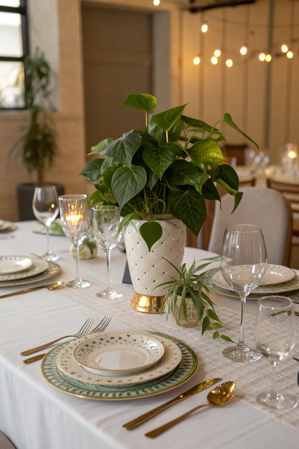 Bring life to mealtime with a pothos centerpiece.
