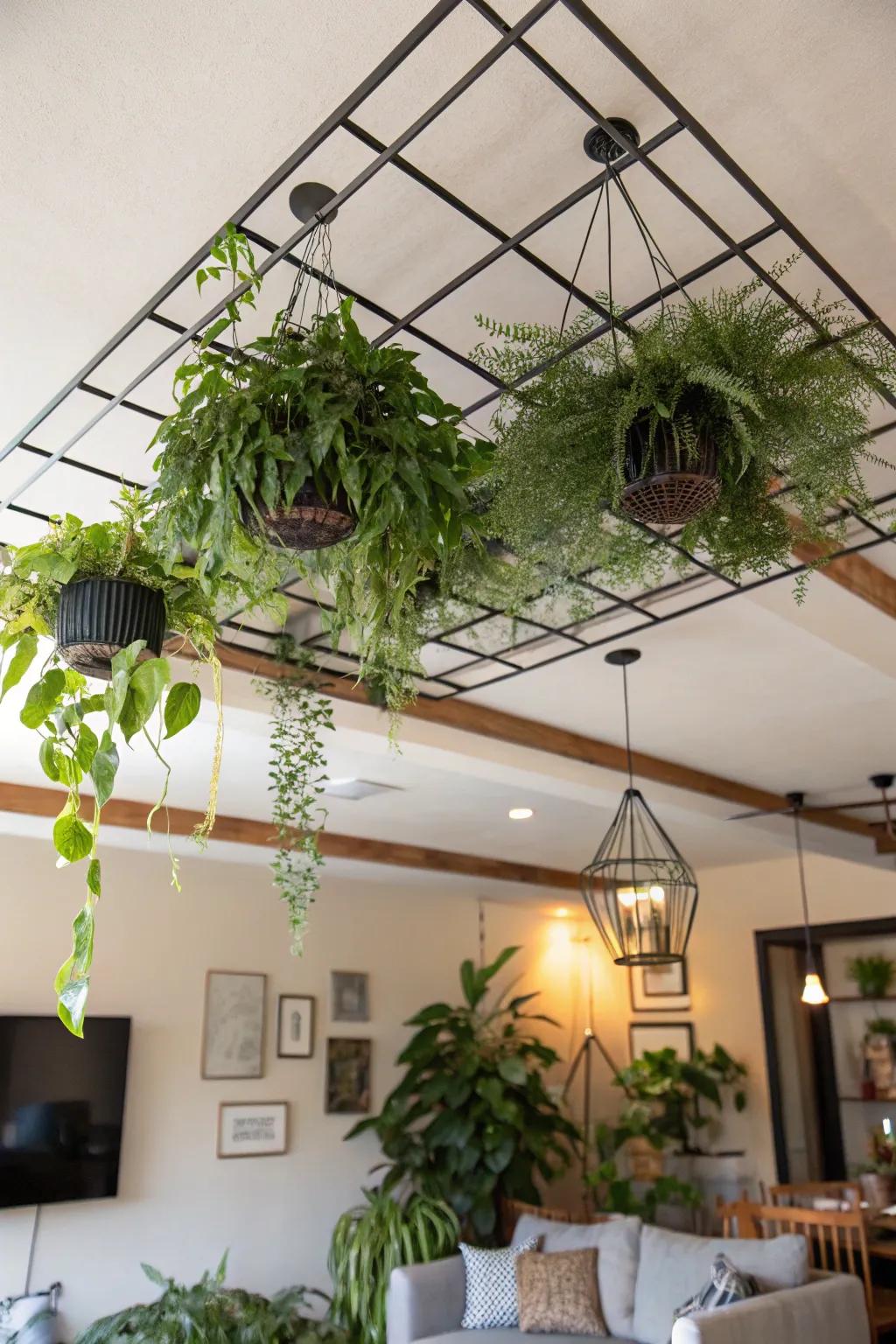 A ceiling-mounted grid offers a dramatic plant display.