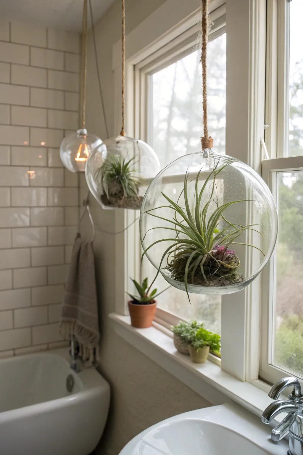 Glass globes with air plants create a serene, spa-like atmosphere.