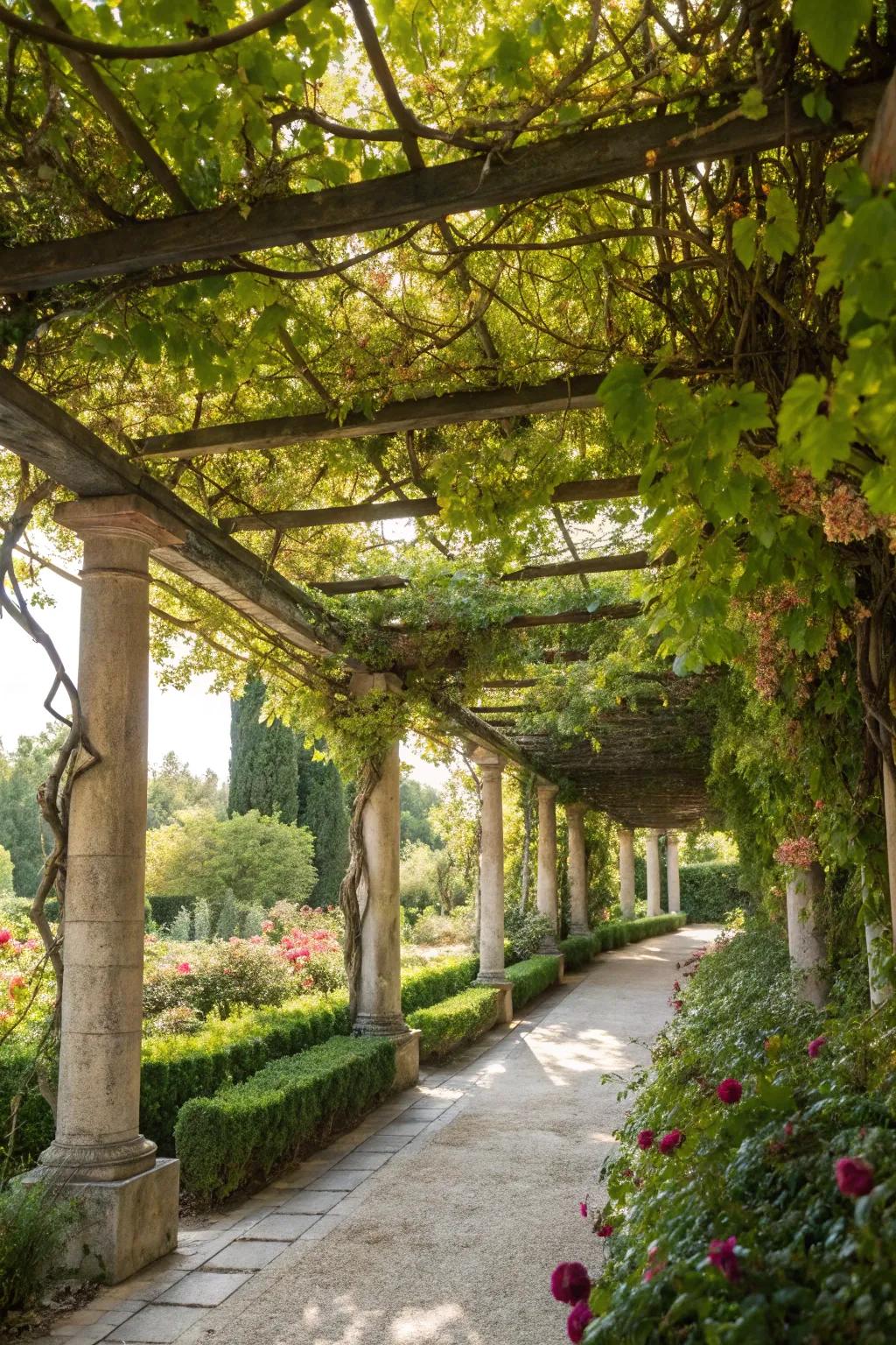 Pergolas with vines add natural beauty and a touch of elegance.