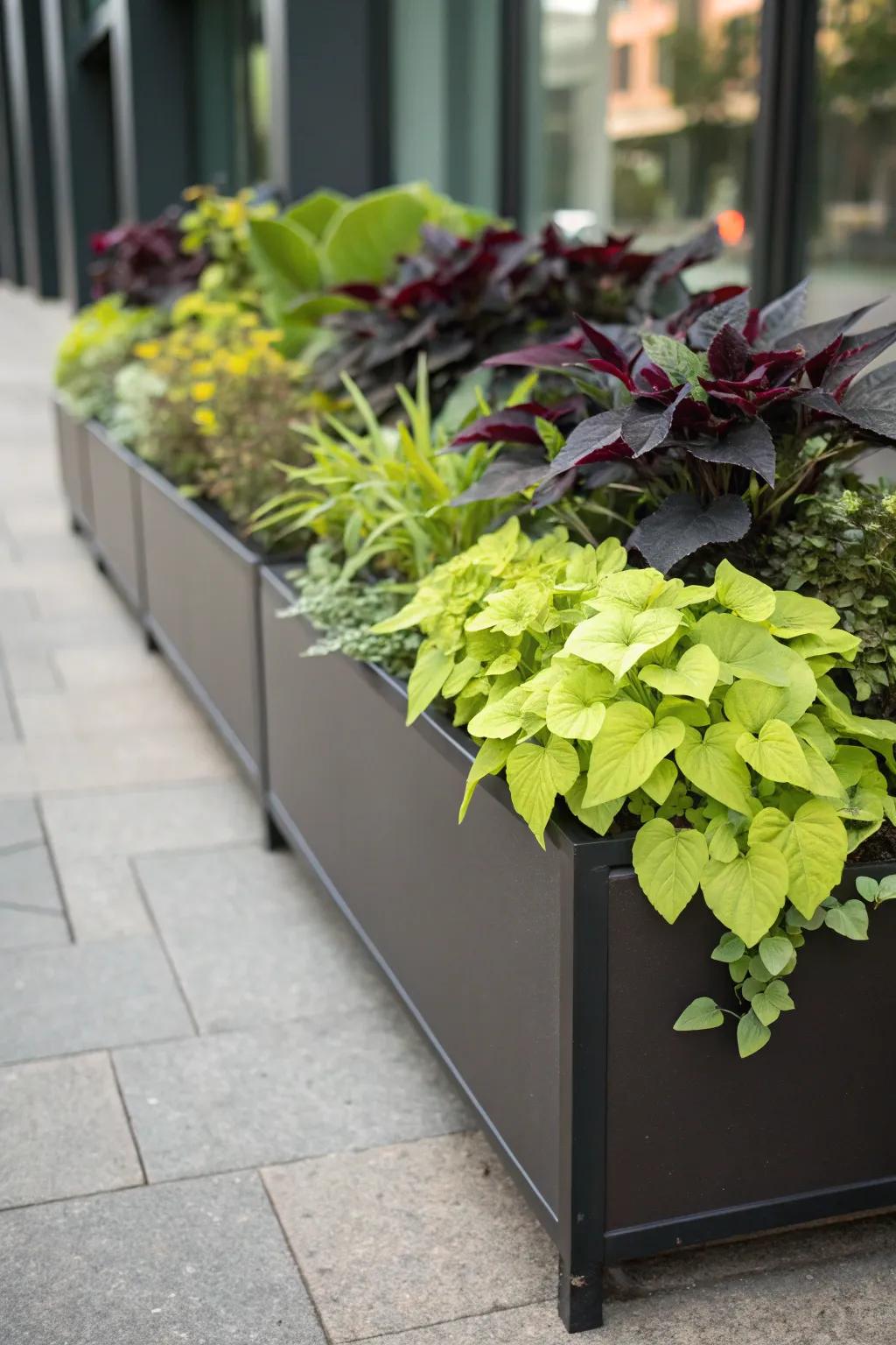 A minimalist modern flower box with a sleek design.
