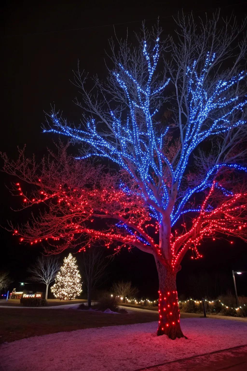 Make a bold statement with contrasting color combinations.