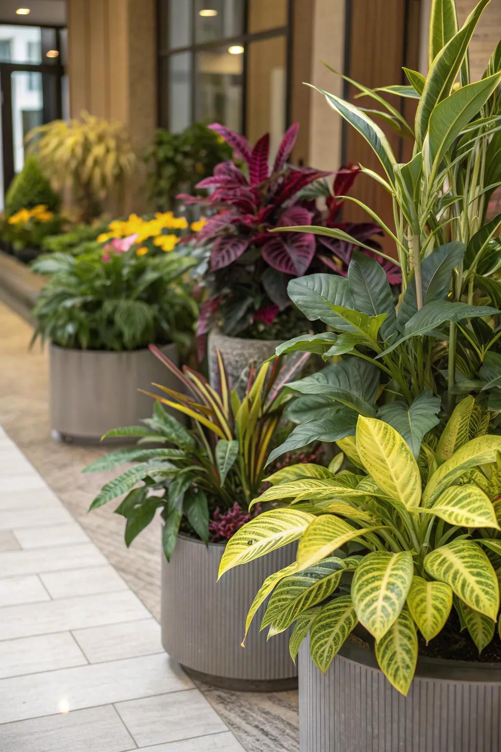 Diverse plant varieties create a visually appealing indoor garden.
