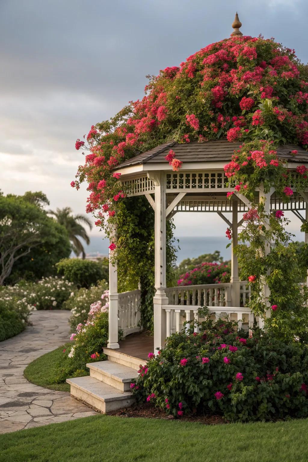Mandevilla vines bringing grandeur and romance to a garden gazebo.