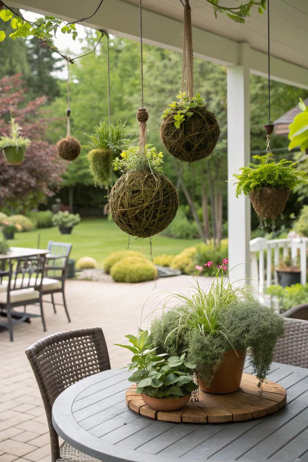 Kokedama enhancing the natural vibe of an outdoor patio.