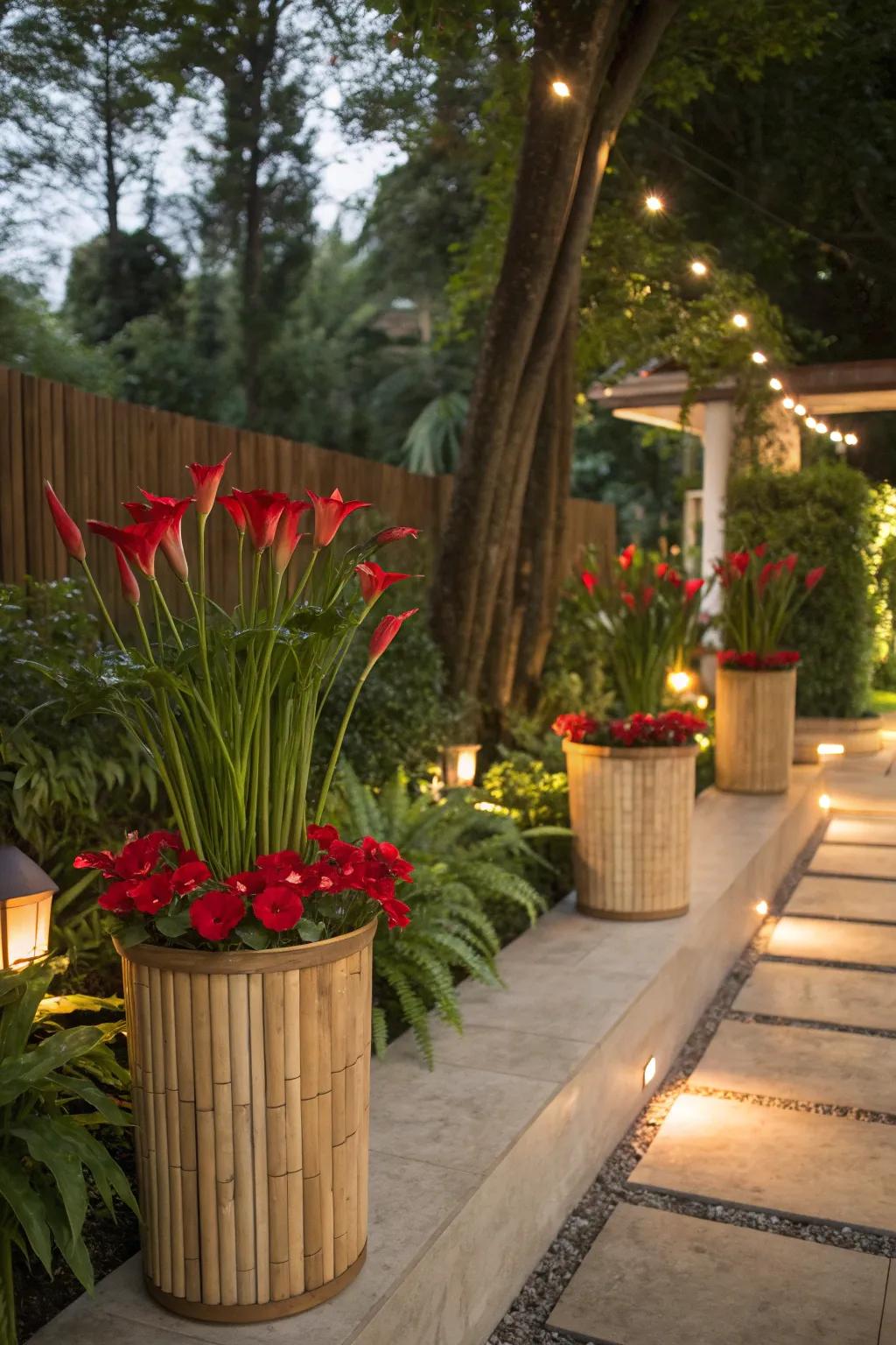 Exotic elegance with calla lilies in bamboo planters.