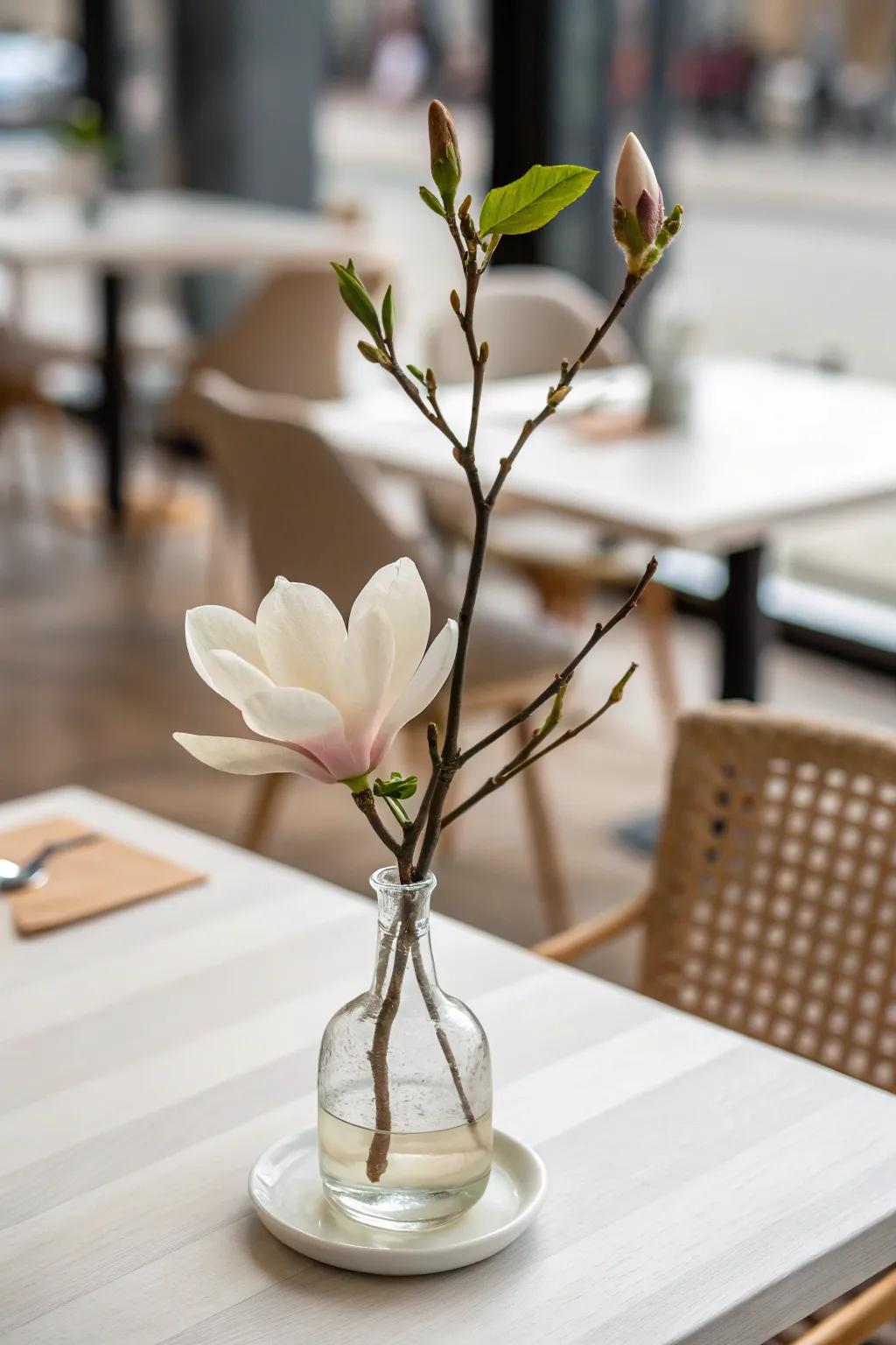 A single magnolia bloom offers minimalist elegance.