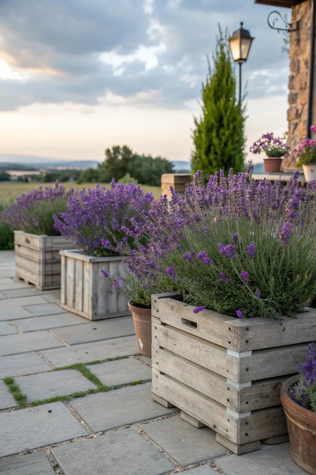 Create a rustic charm with chic wooden crate planters.