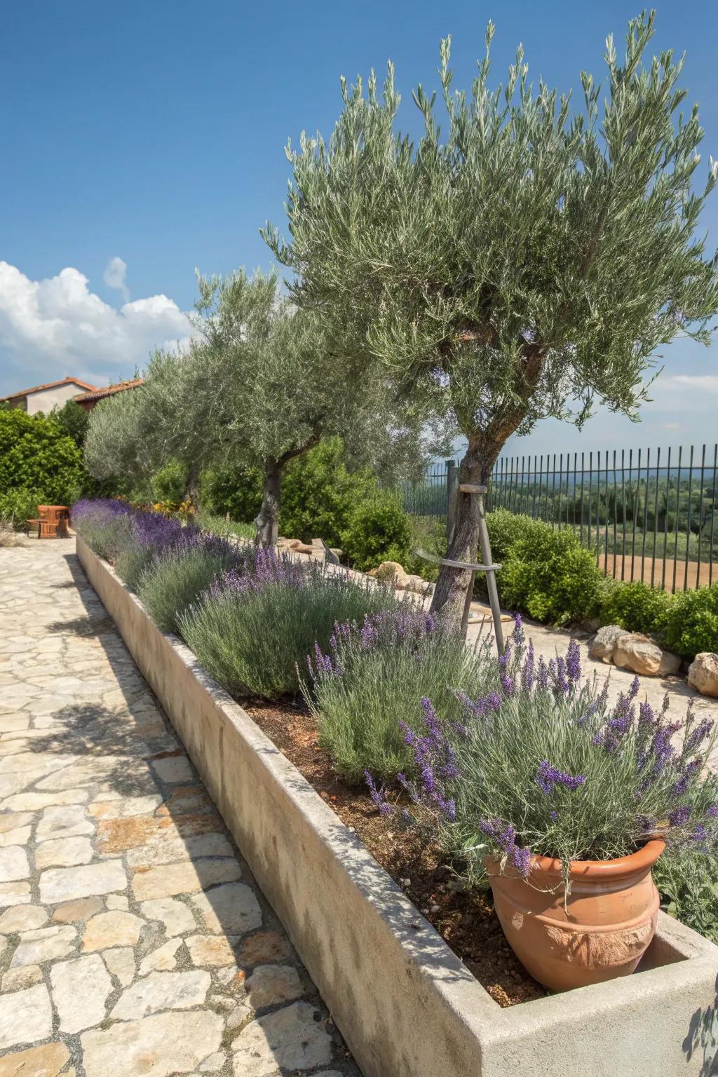 Mediterranean planter boxes bring sun-soaked charm to your space.