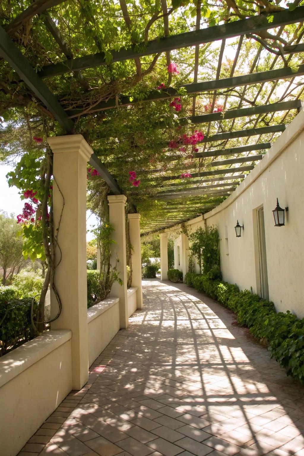 Trellises add privacy and a vertical garden touch.