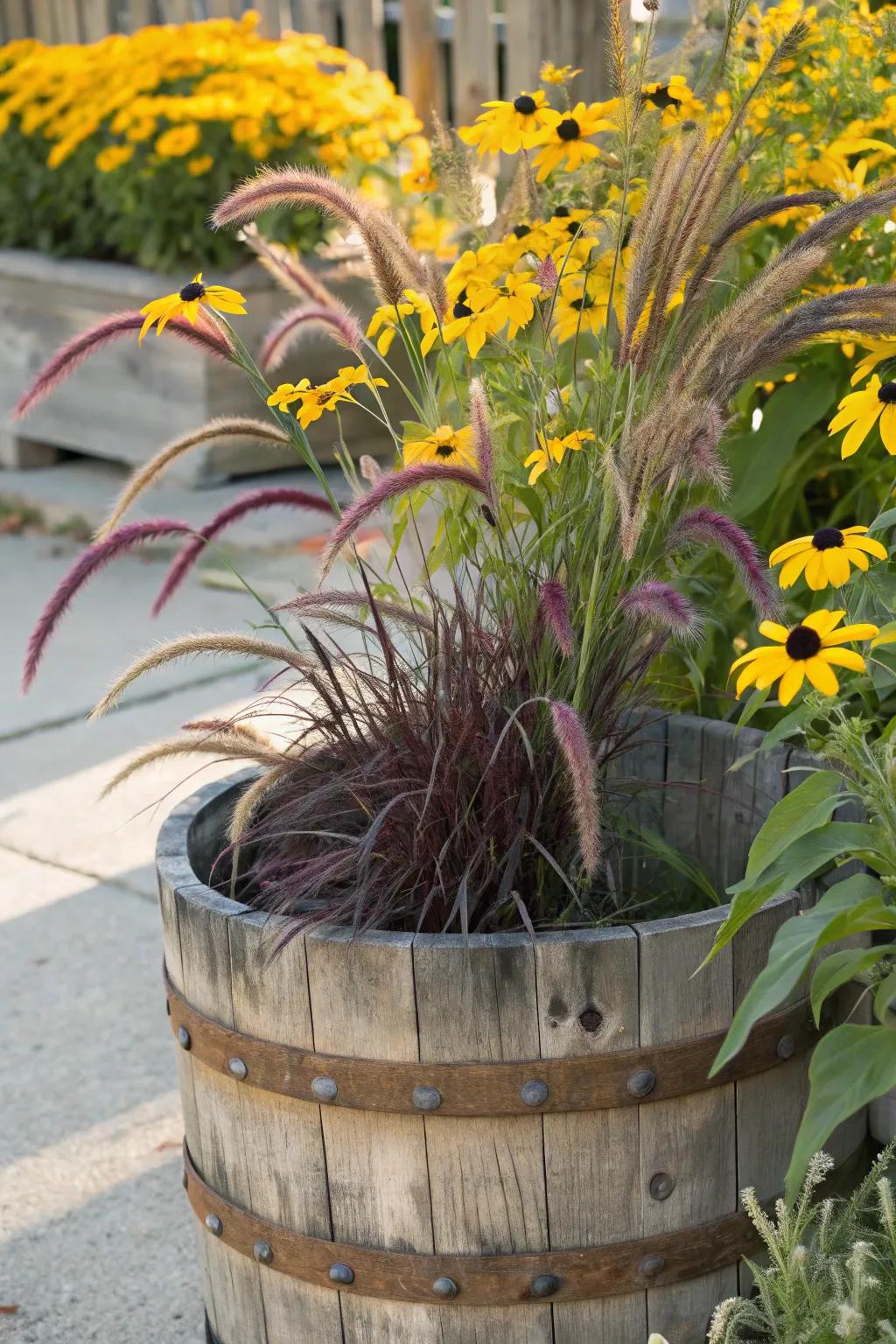 Wooden barrels add rustic charm to purple fountain grass arrangements.
