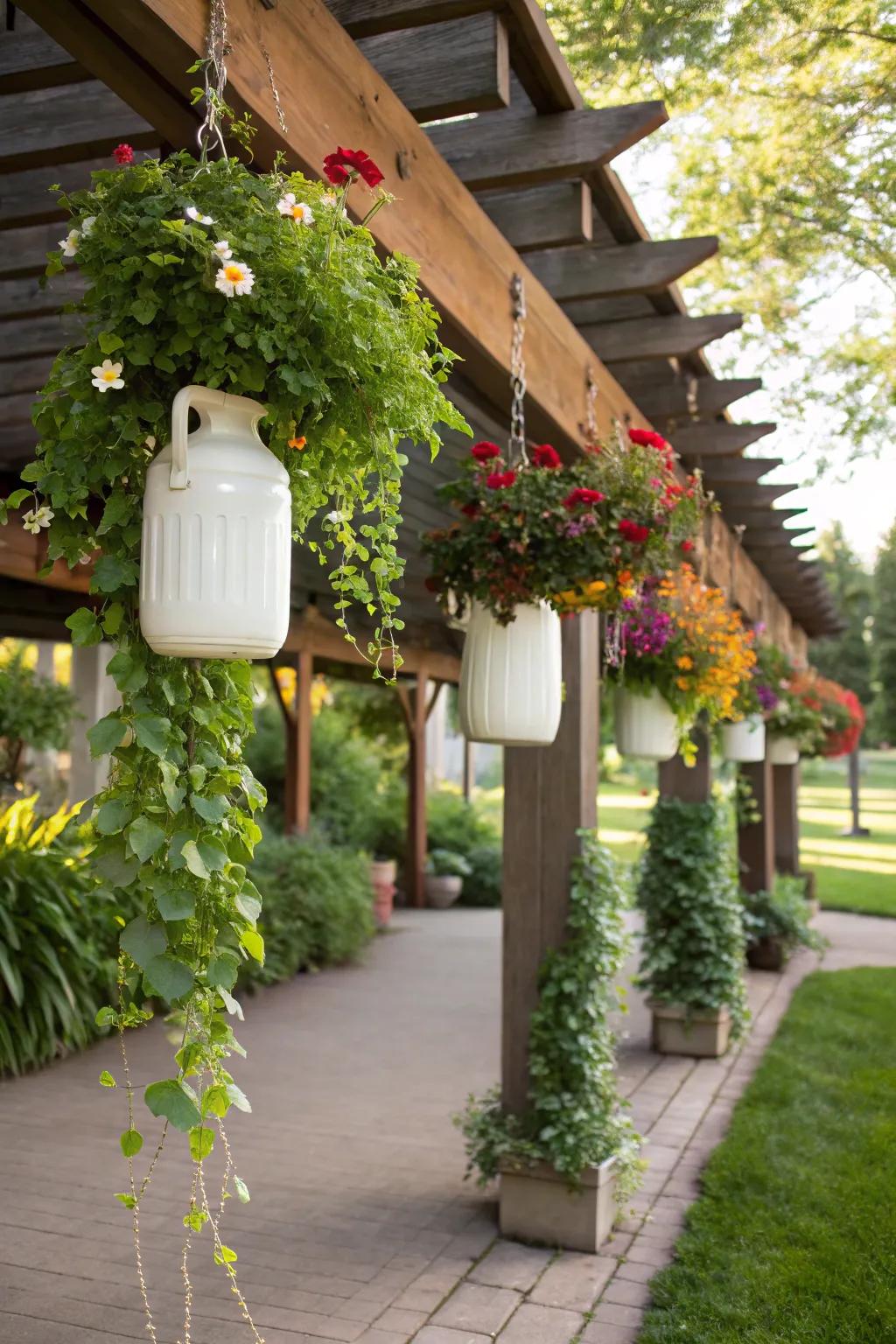 Charming hanging garden created from recycled milk jugs.