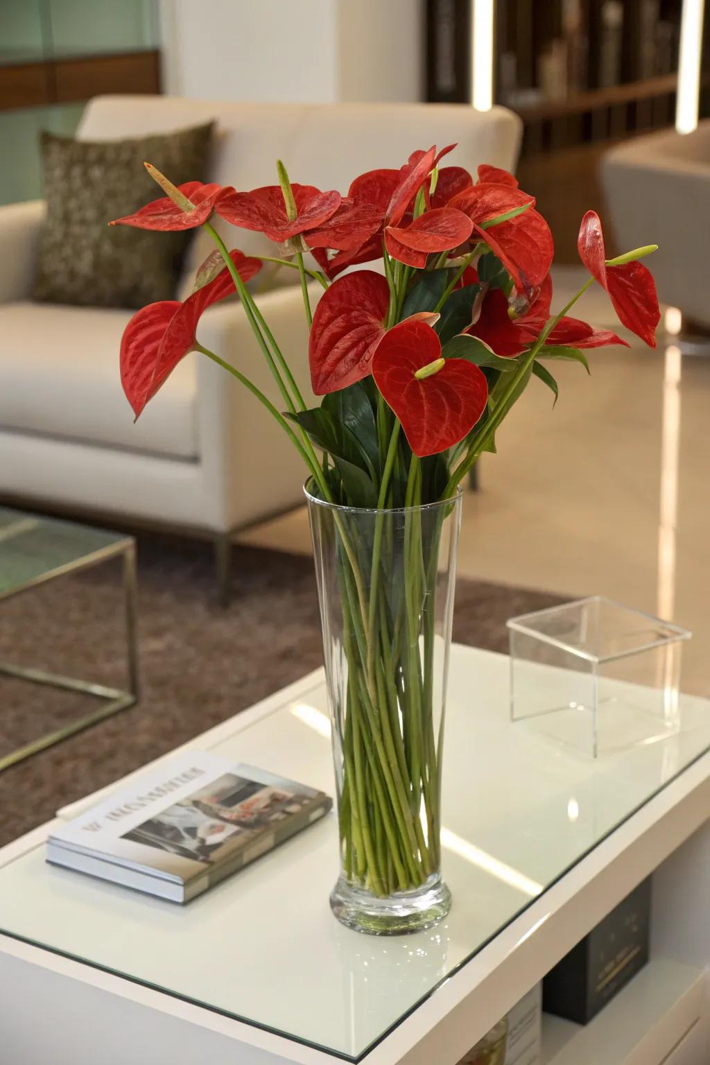 Anthuriums provide a sleek and modern statement.