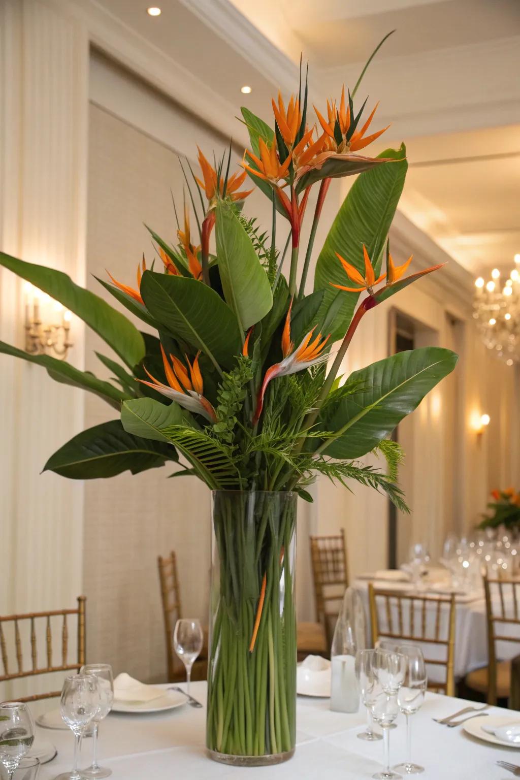 Birds of Paradise provide a striking tropical vibe.
