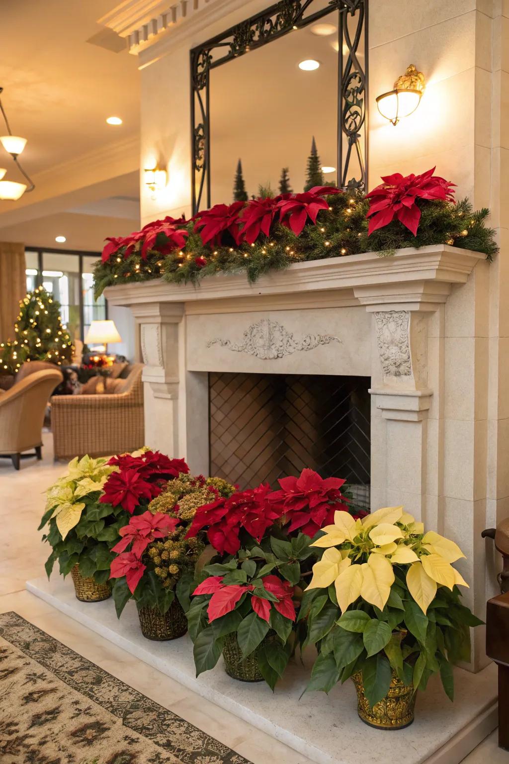 A fireplace bursting with the vibrant colors of poinsettias.