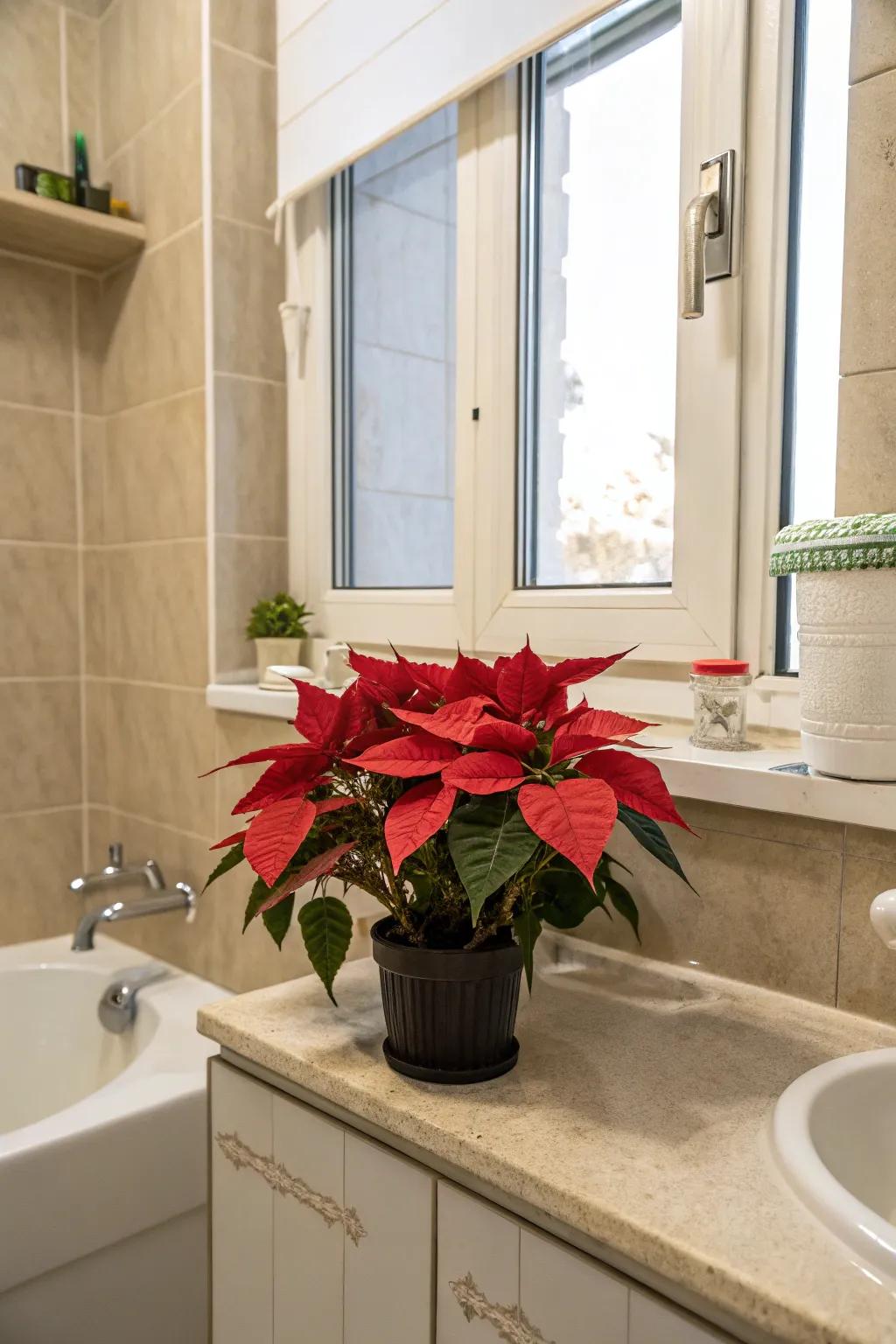 A small poinsettia adds festive cheer to the bathroom.