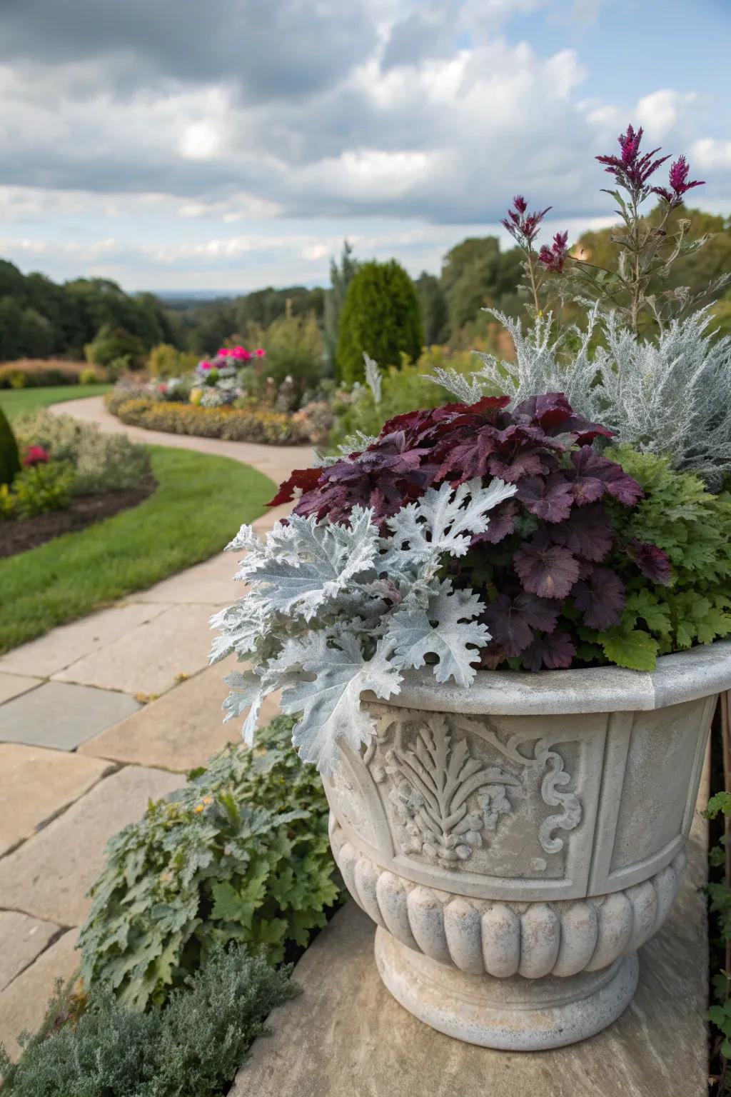A stunning contrast of dusty miller and deep purple foliage.