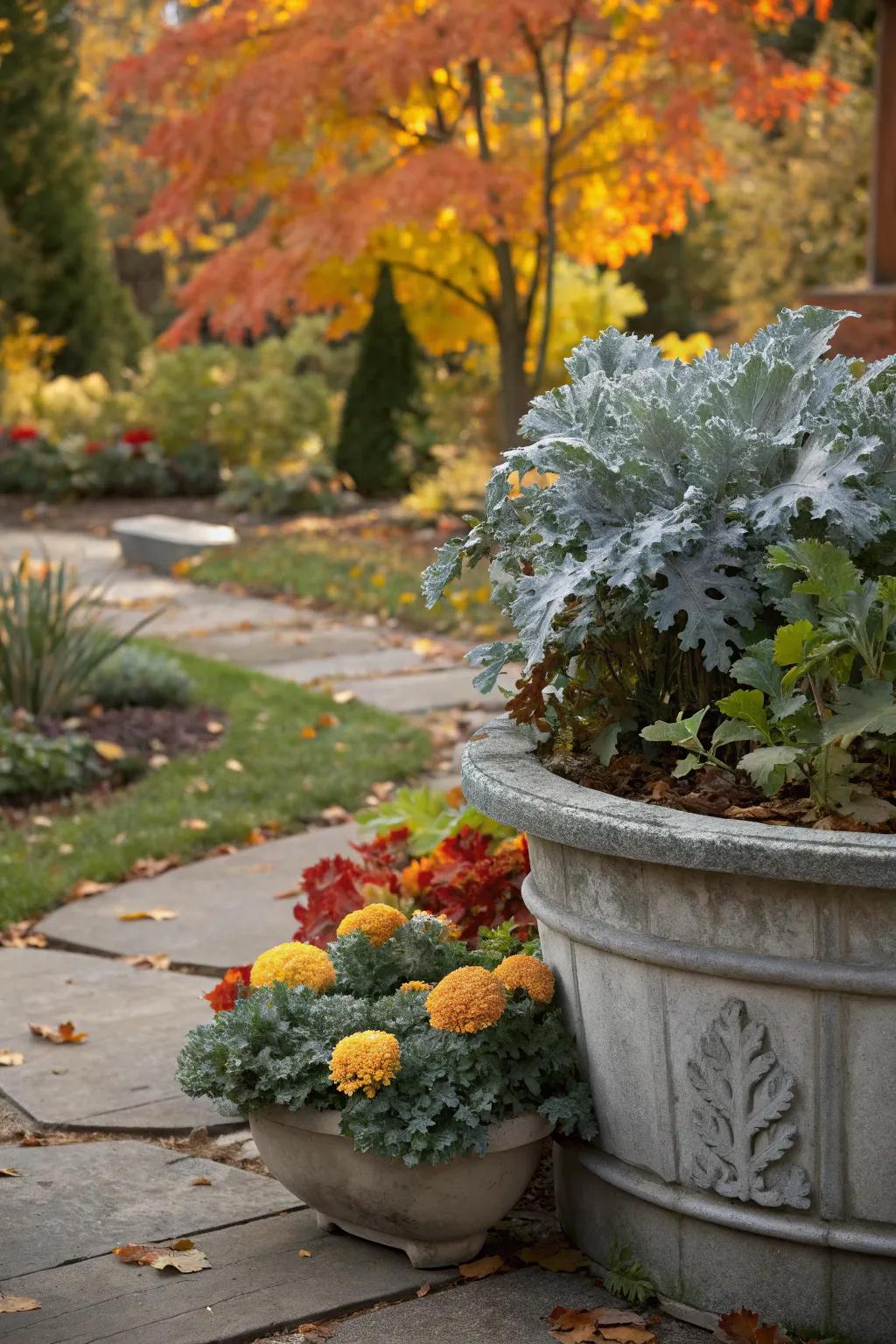 A fall favorite: dusty miller with ornamental kale.