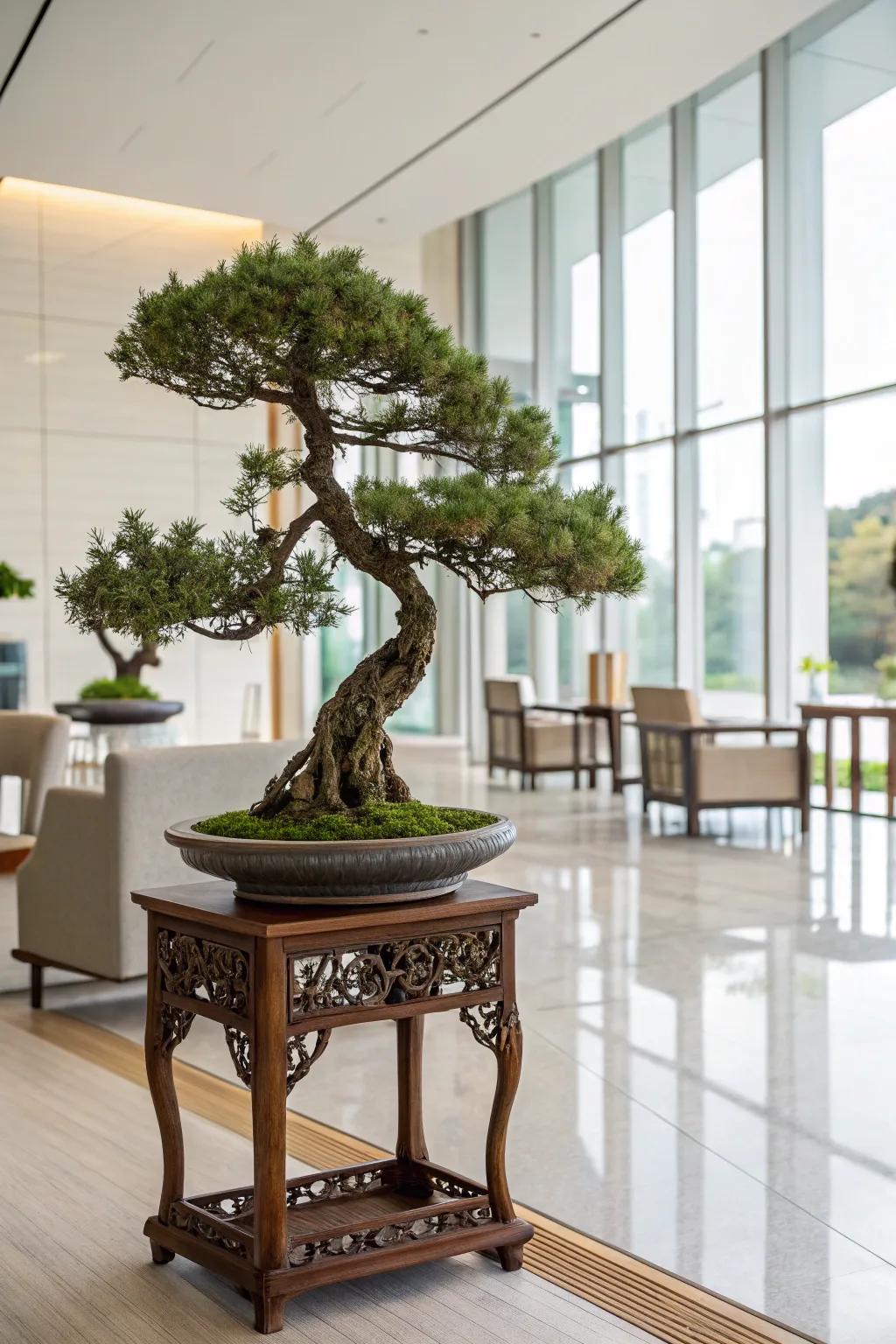Elevate your bonsai with a decorative stand.
