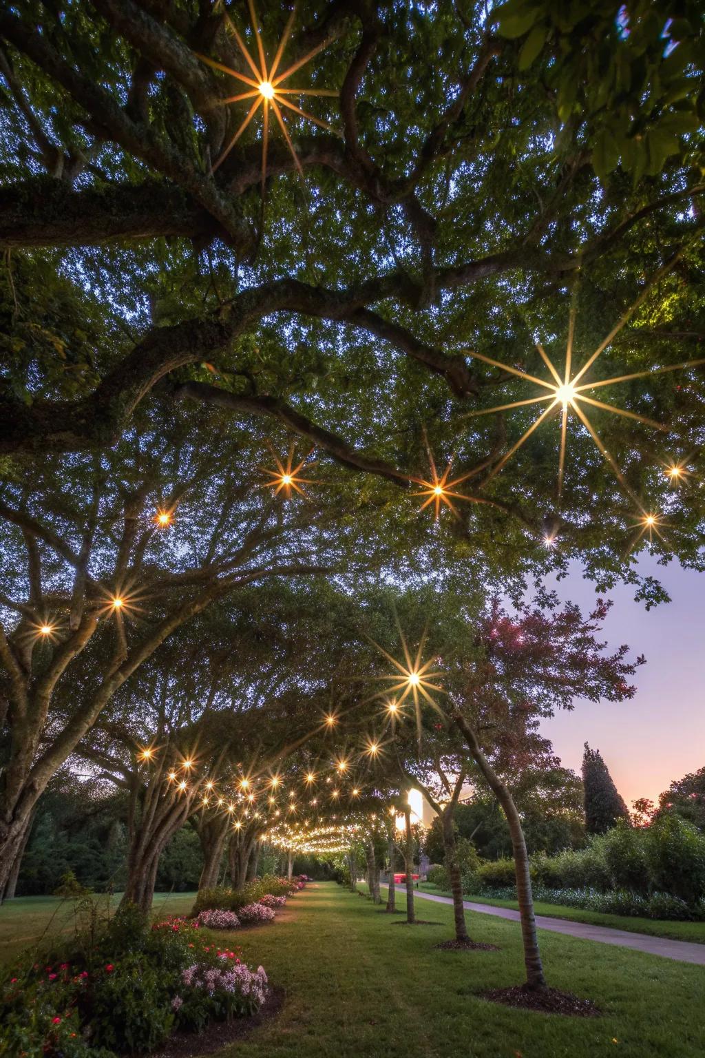 Surprise visitors with a starburst tree canopy effect.