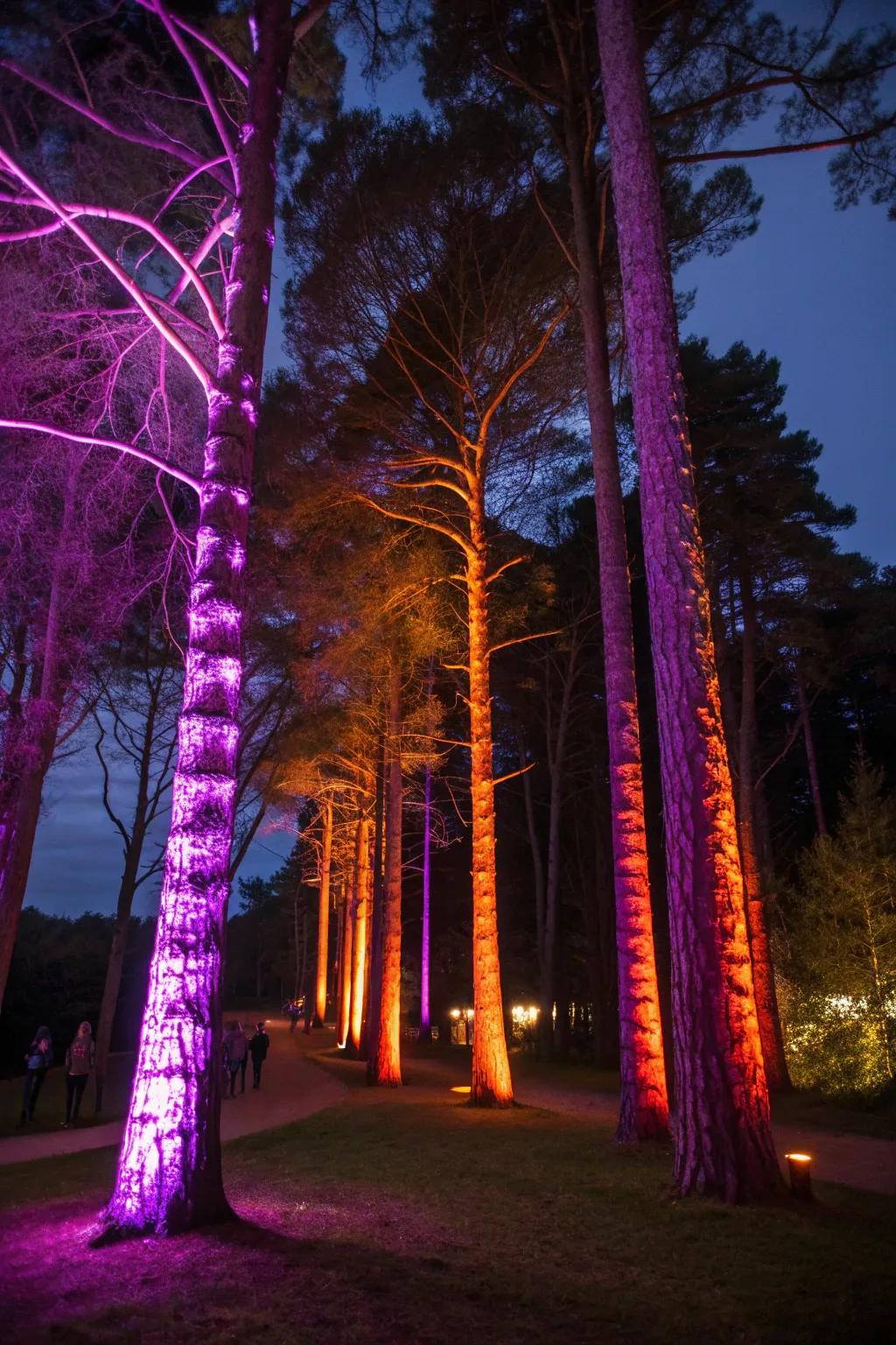 Transform trees into a ghostly forest with colorful string lights.