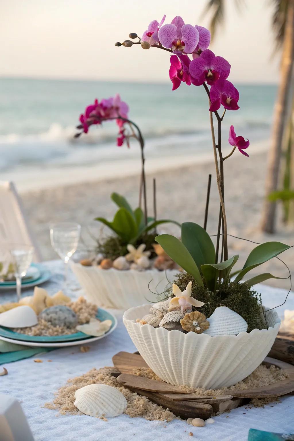 Orchids nestled in shells create a coastal elegance.