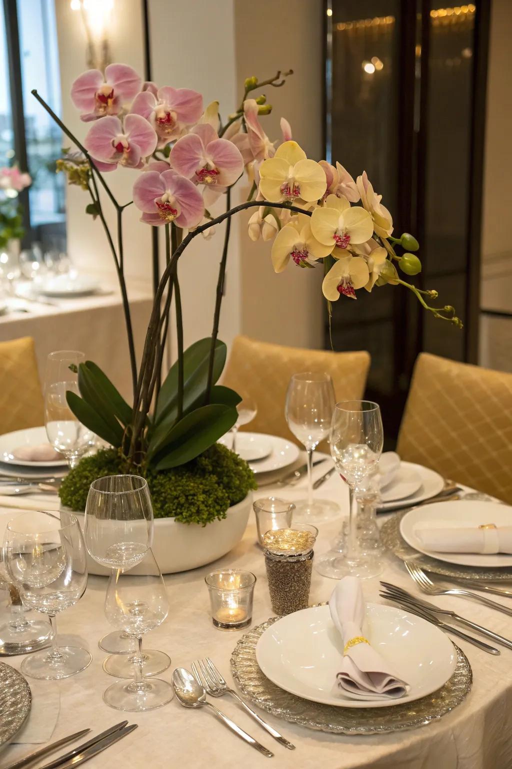 Orchids as a dining table centerpiece add a touch of sophistication.
