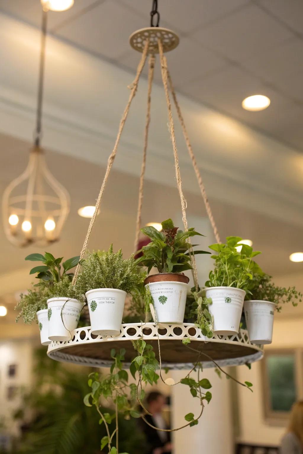 Chandelier transformed into a stunning planter.